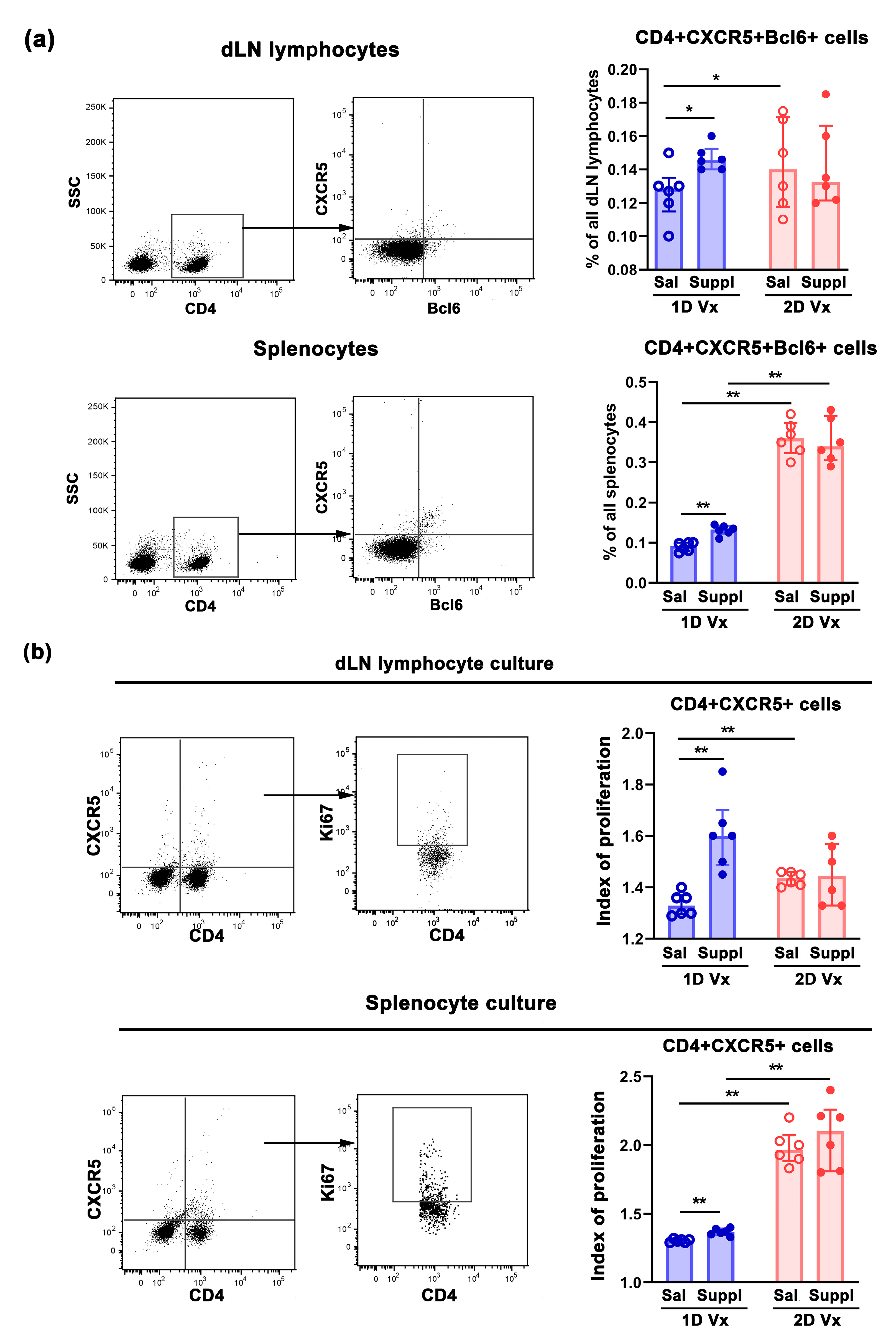 Vaccines 12 00743 g004