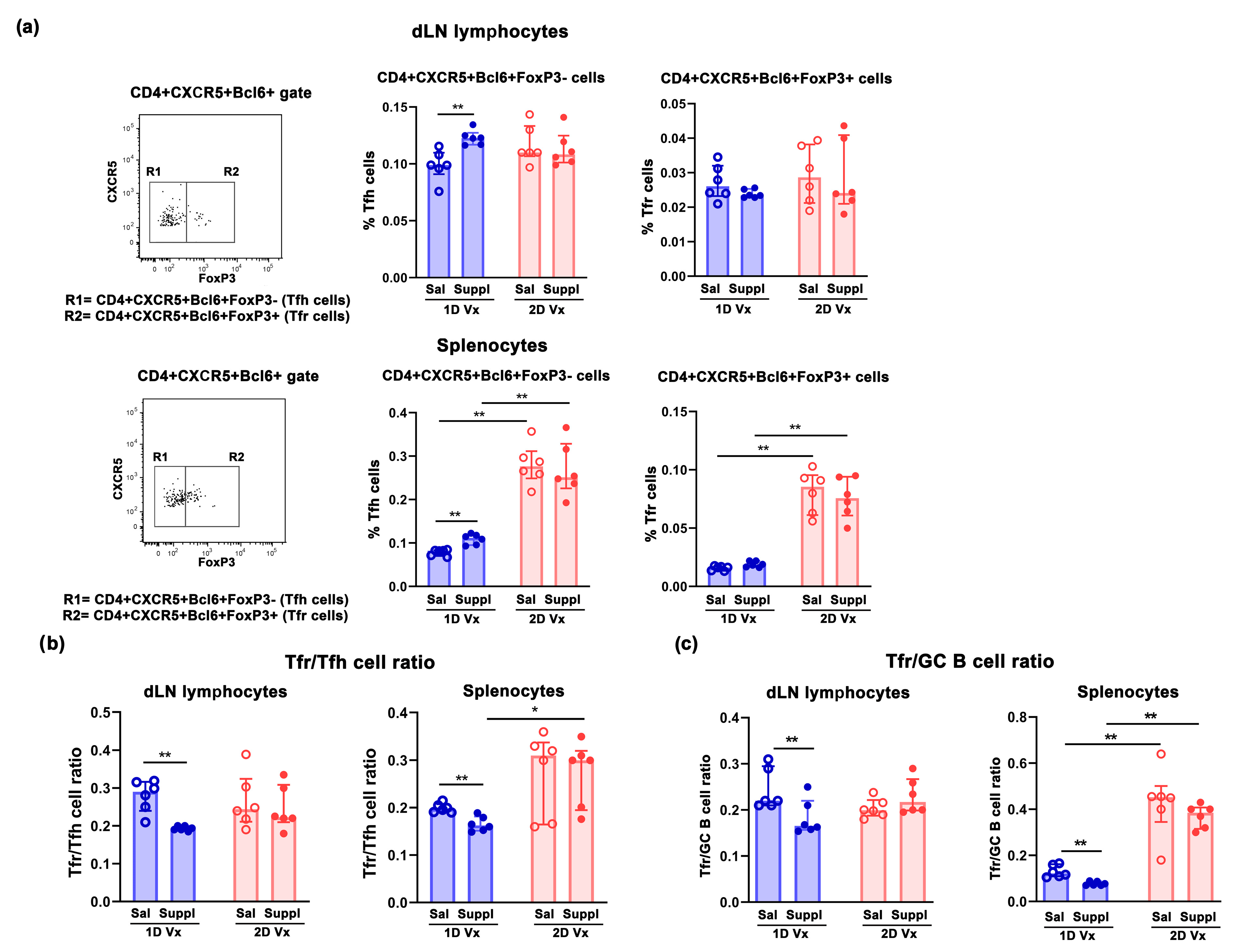 Vaccines 12 00743 g005