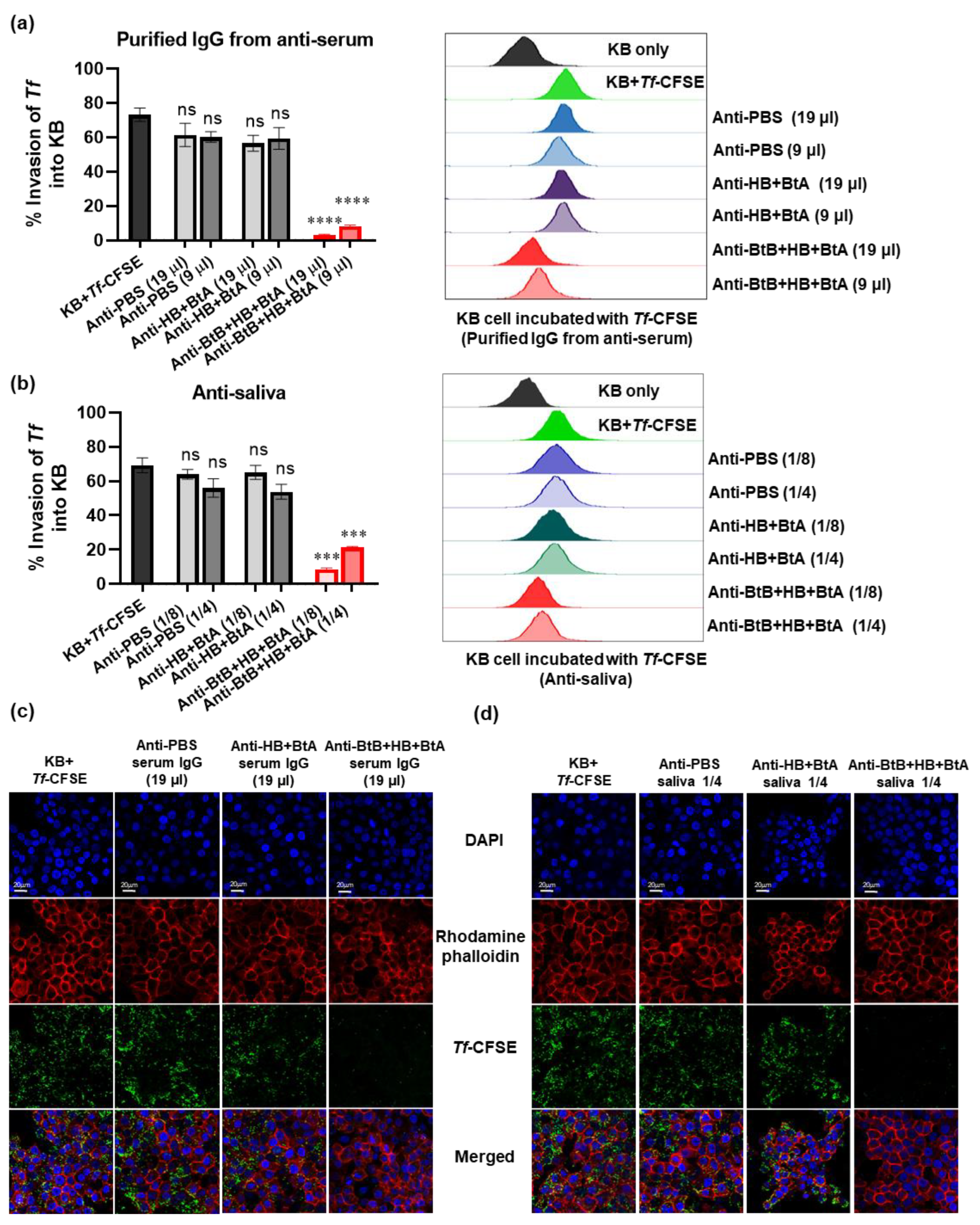 Vaccines 12 00754 g004 Vaccines 12 00754 g004
