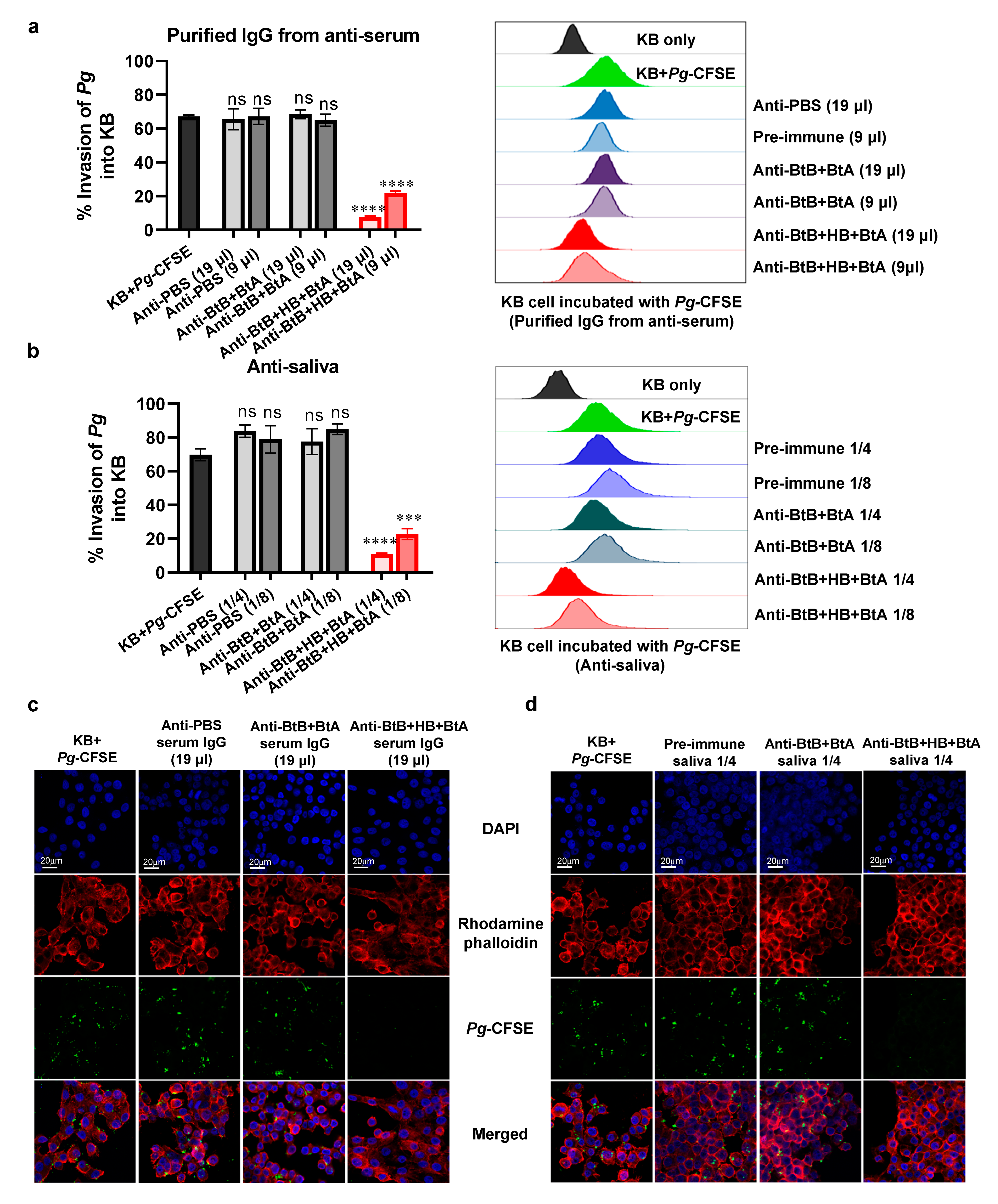 Vaccines 12 00754 g005 Vaccines 12 00754 g005