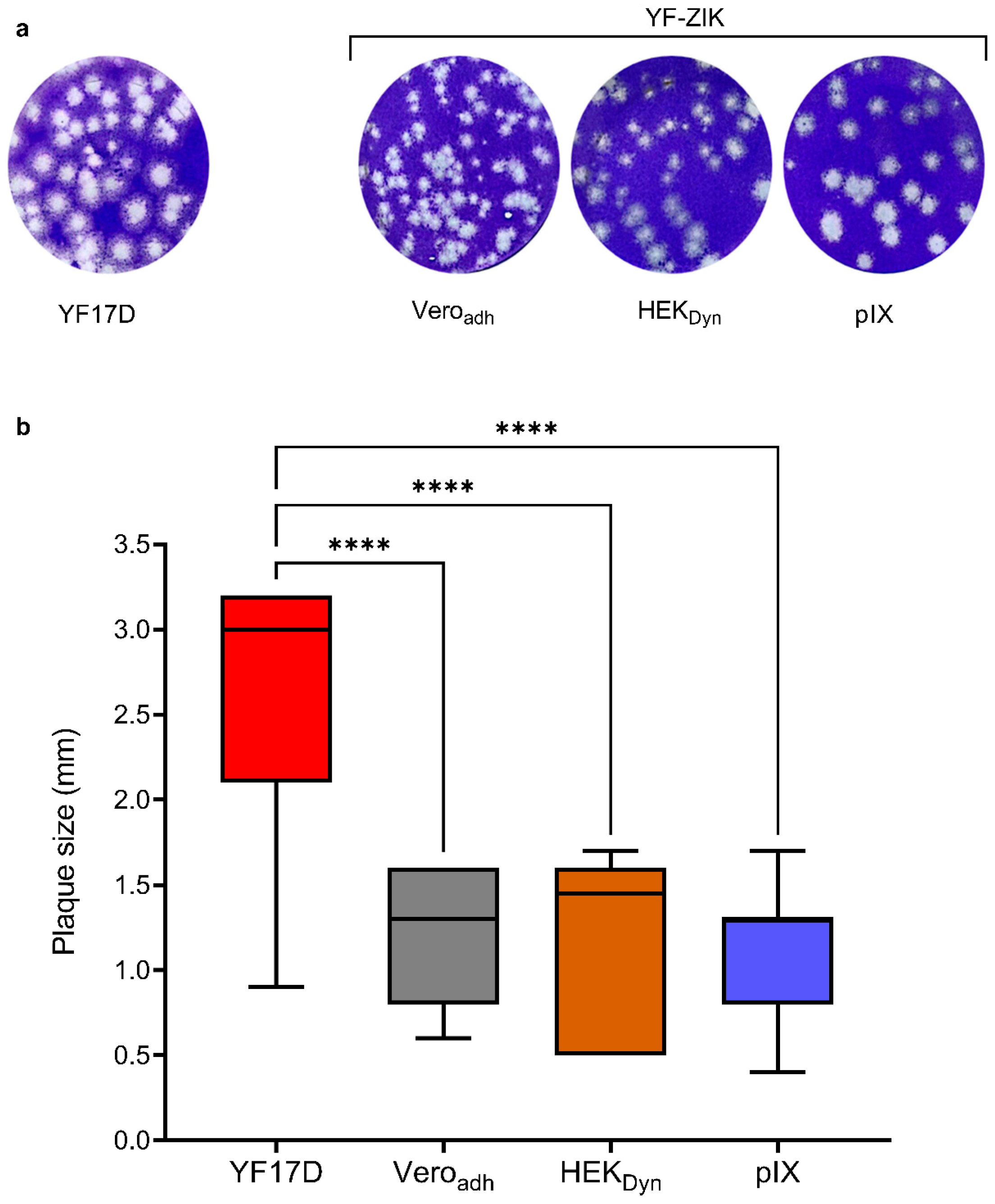Vaccines 12 00755 g005