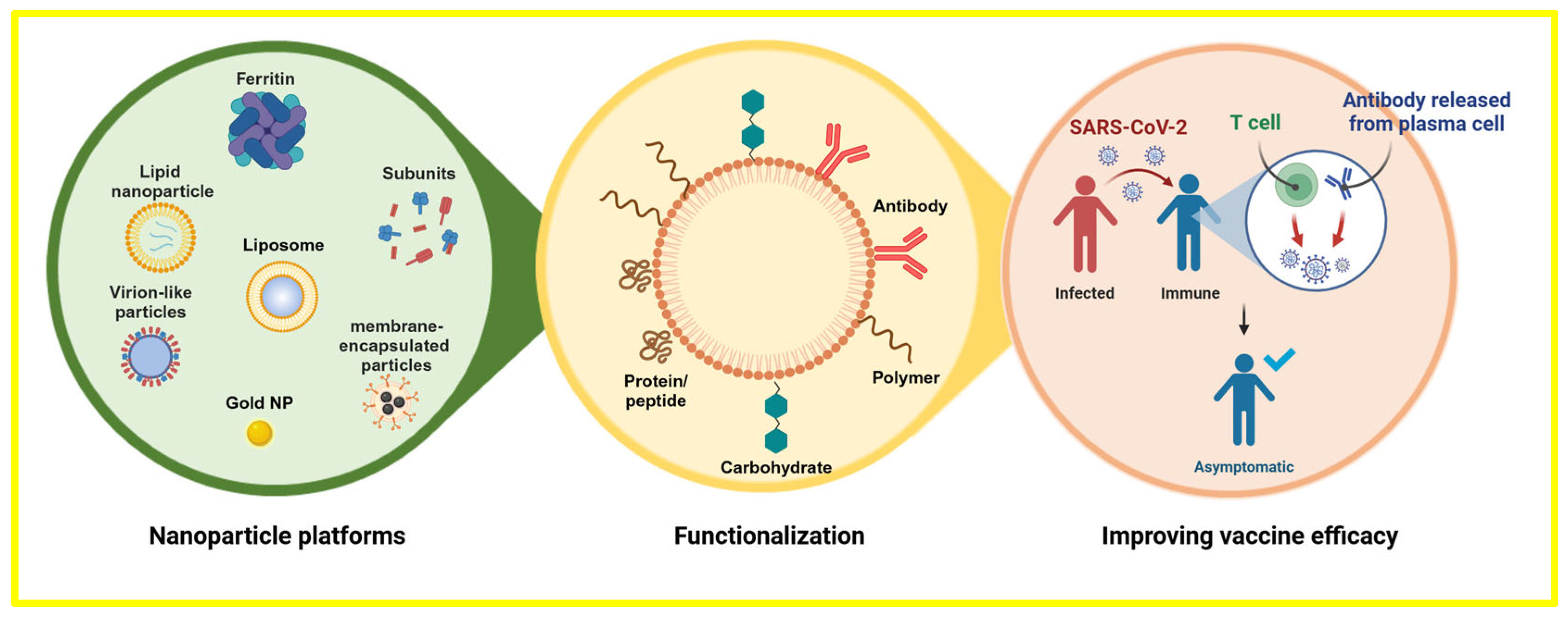 Vaccines 12 00764 g001