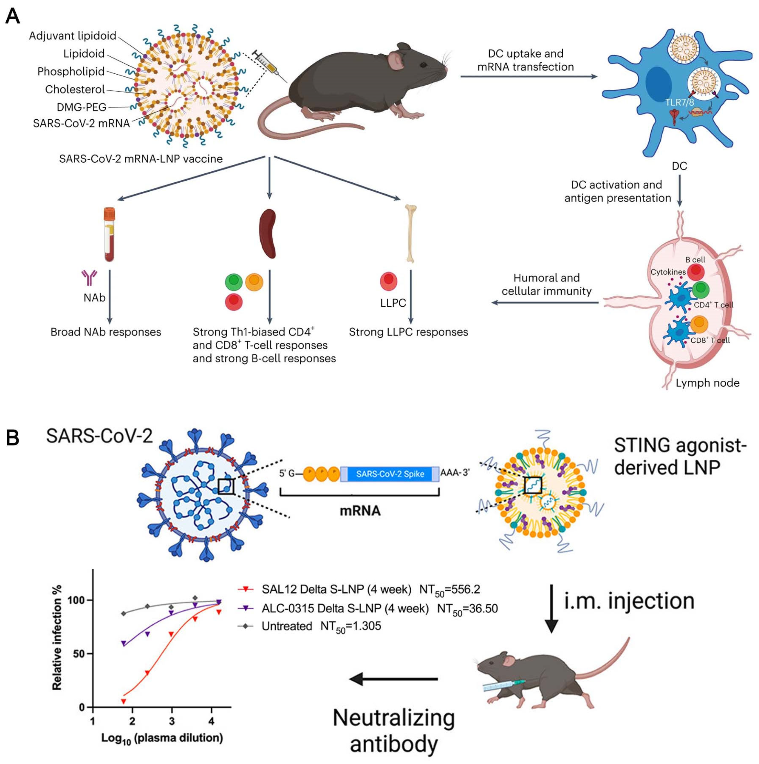 Vaccines 12 00764 g003