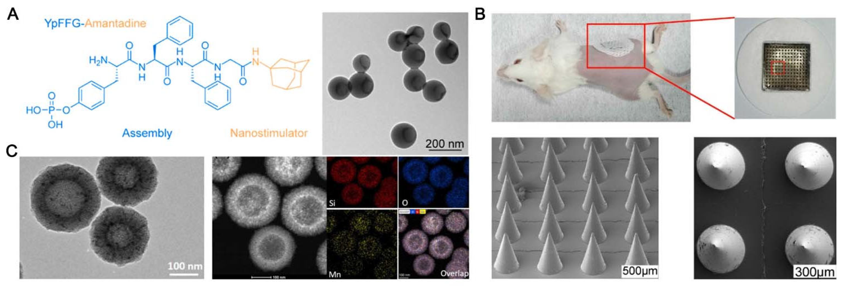 Vaccines 12 00764 g004
