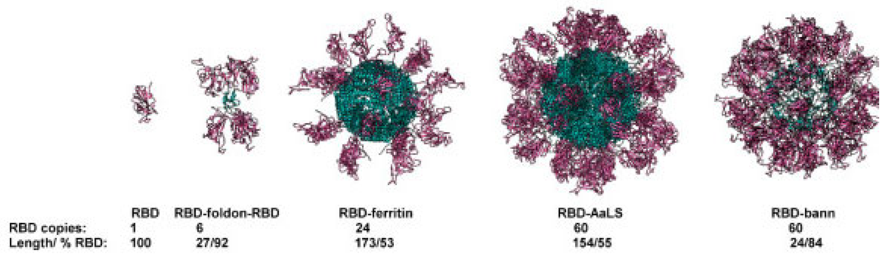 Vaccines 12 00764 g005