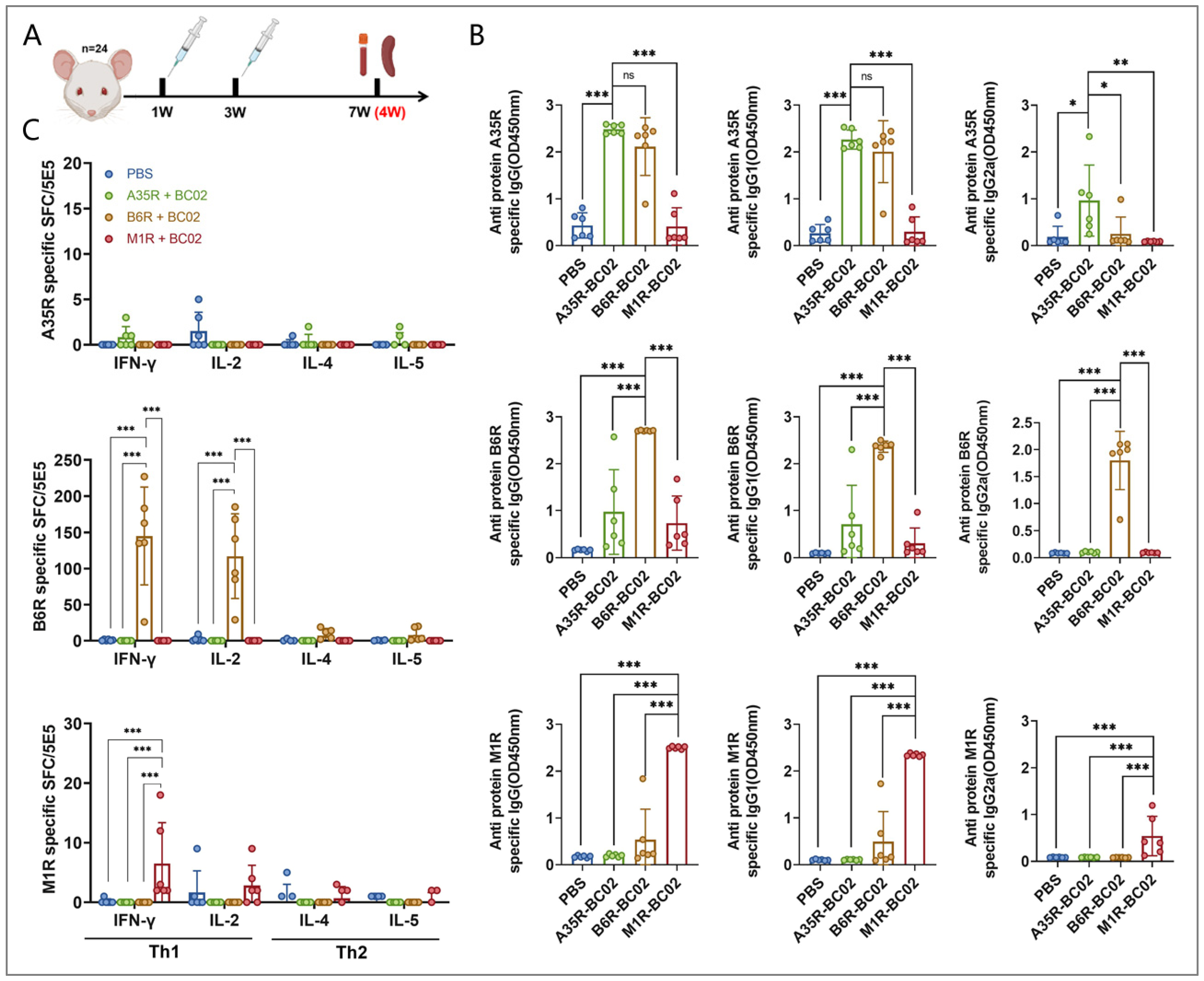 Vaccines 12 00776 g001