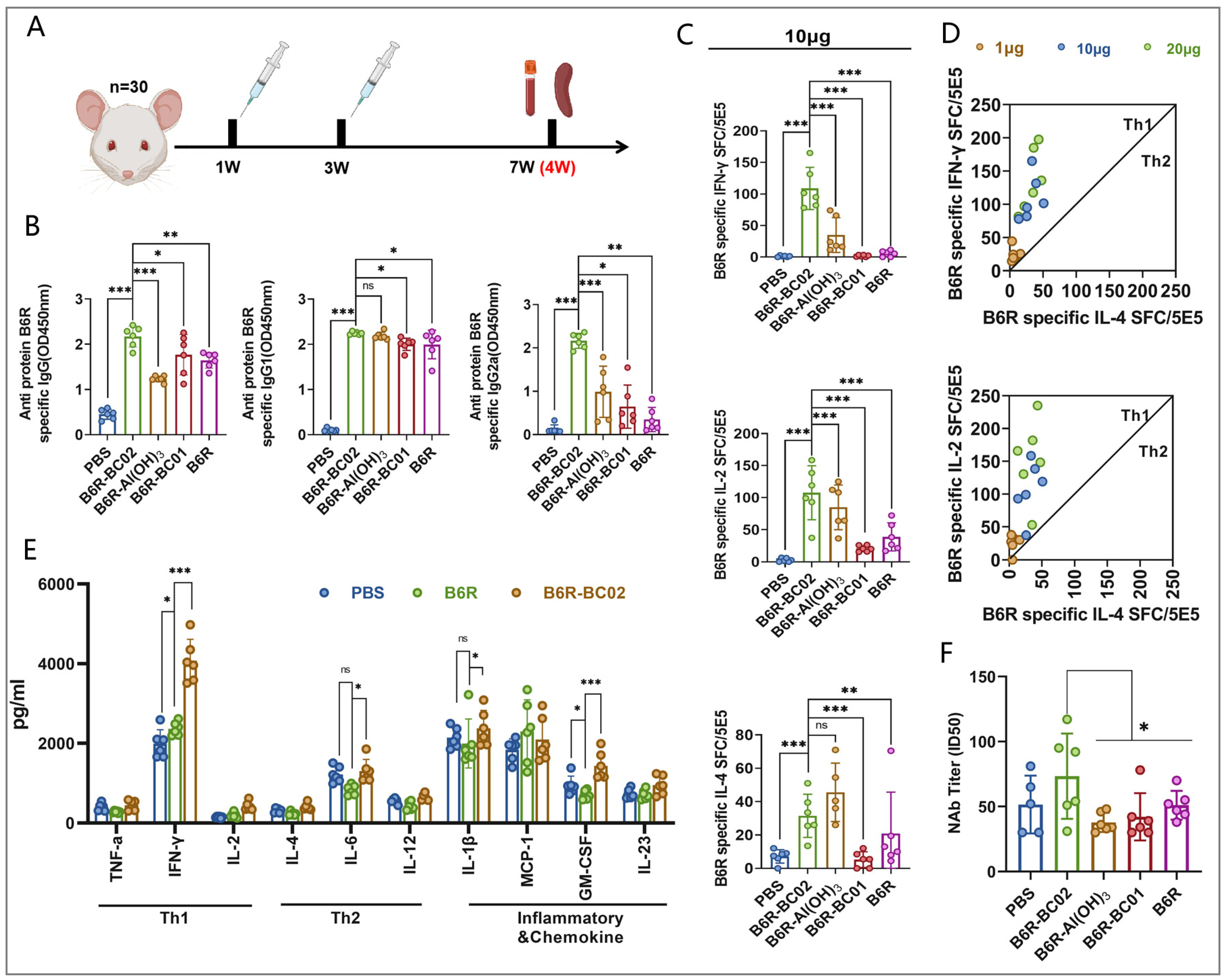Vaccines 12 00776 g002