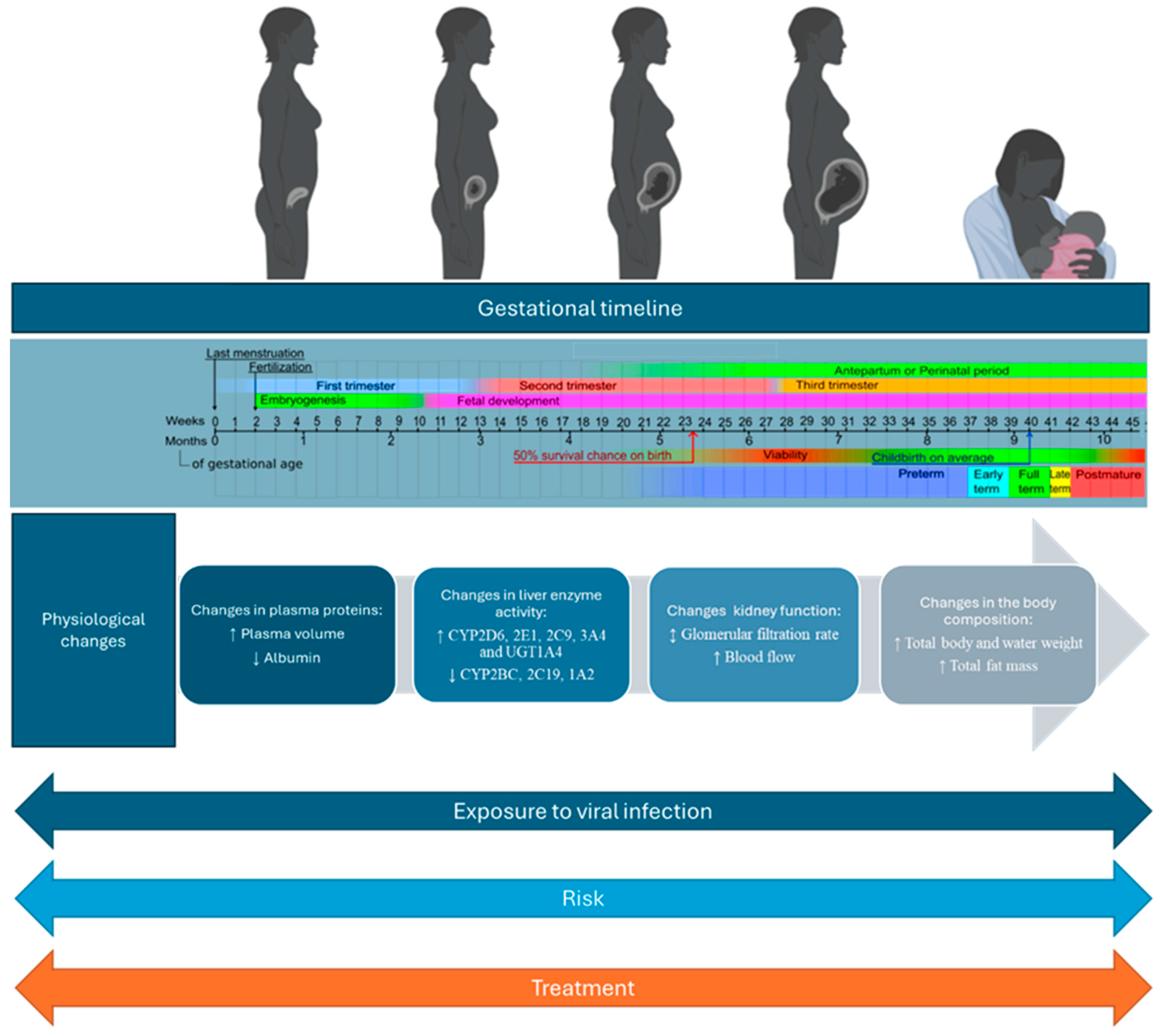 Vaccines 12 00782 g001 Vaccines 12 00782 g001