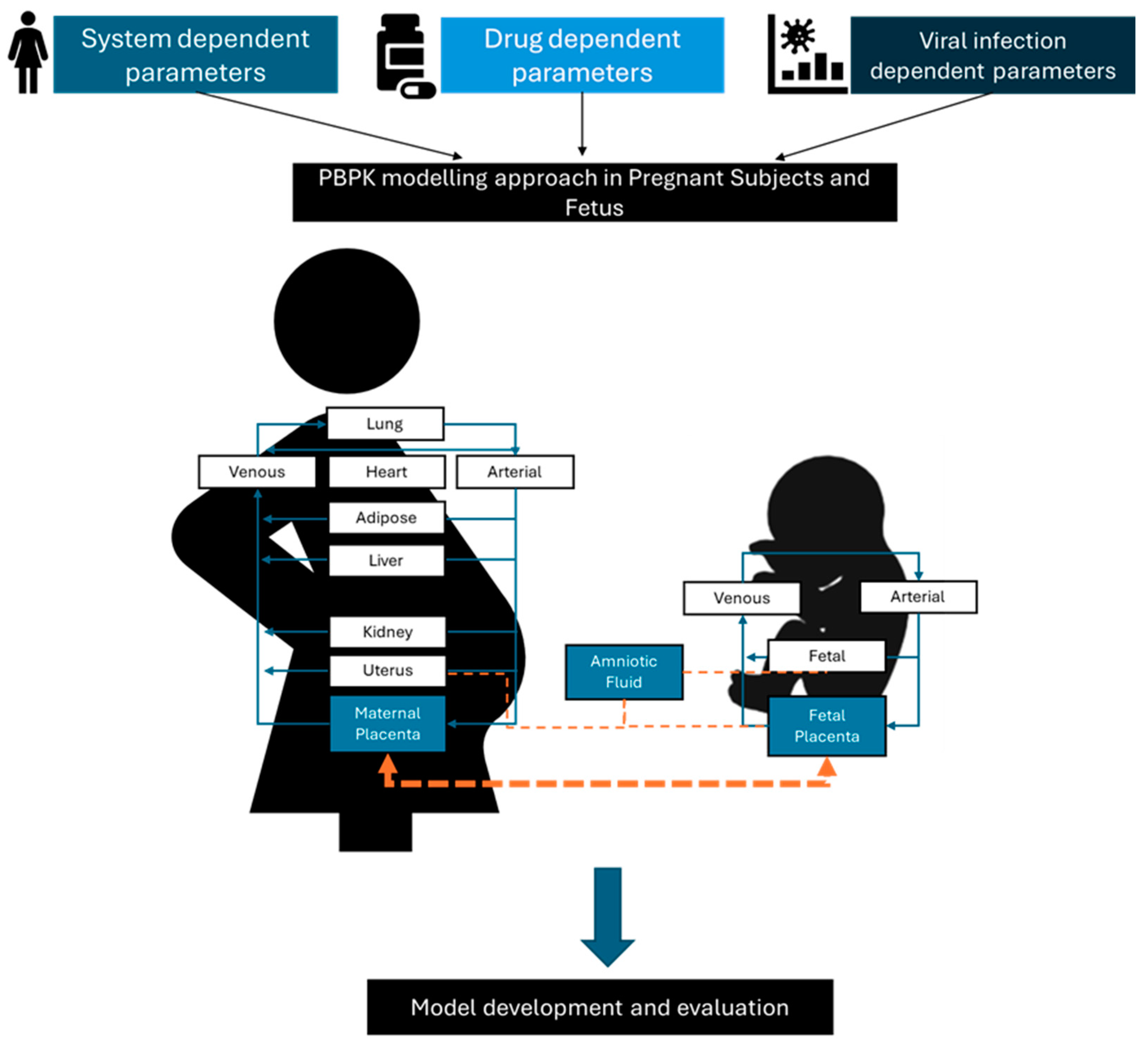 Vaccines 12 00782 g003 Vaccines 12 00782 g003