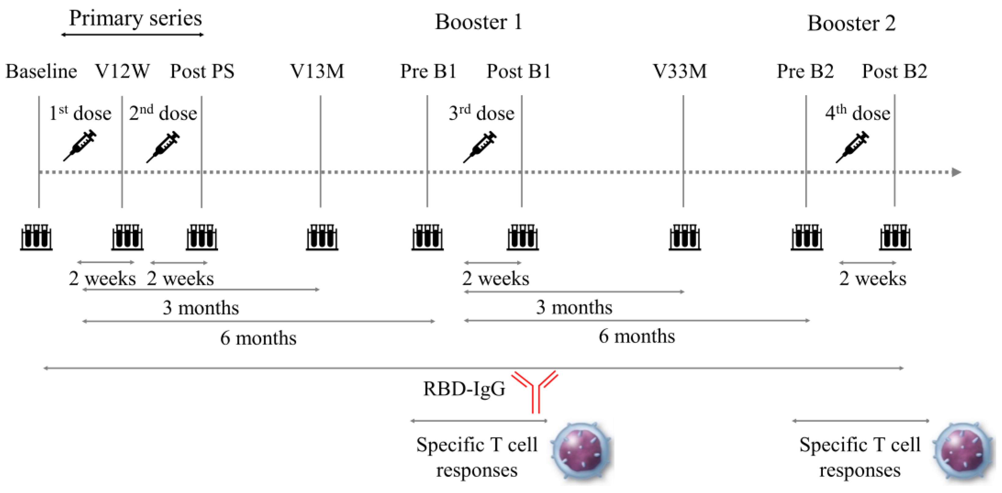 Vaccines 12 00786 g001