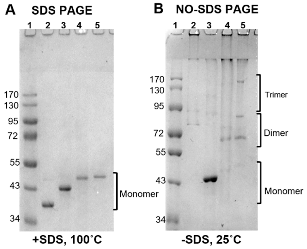 Vaccines 12 00789 g003