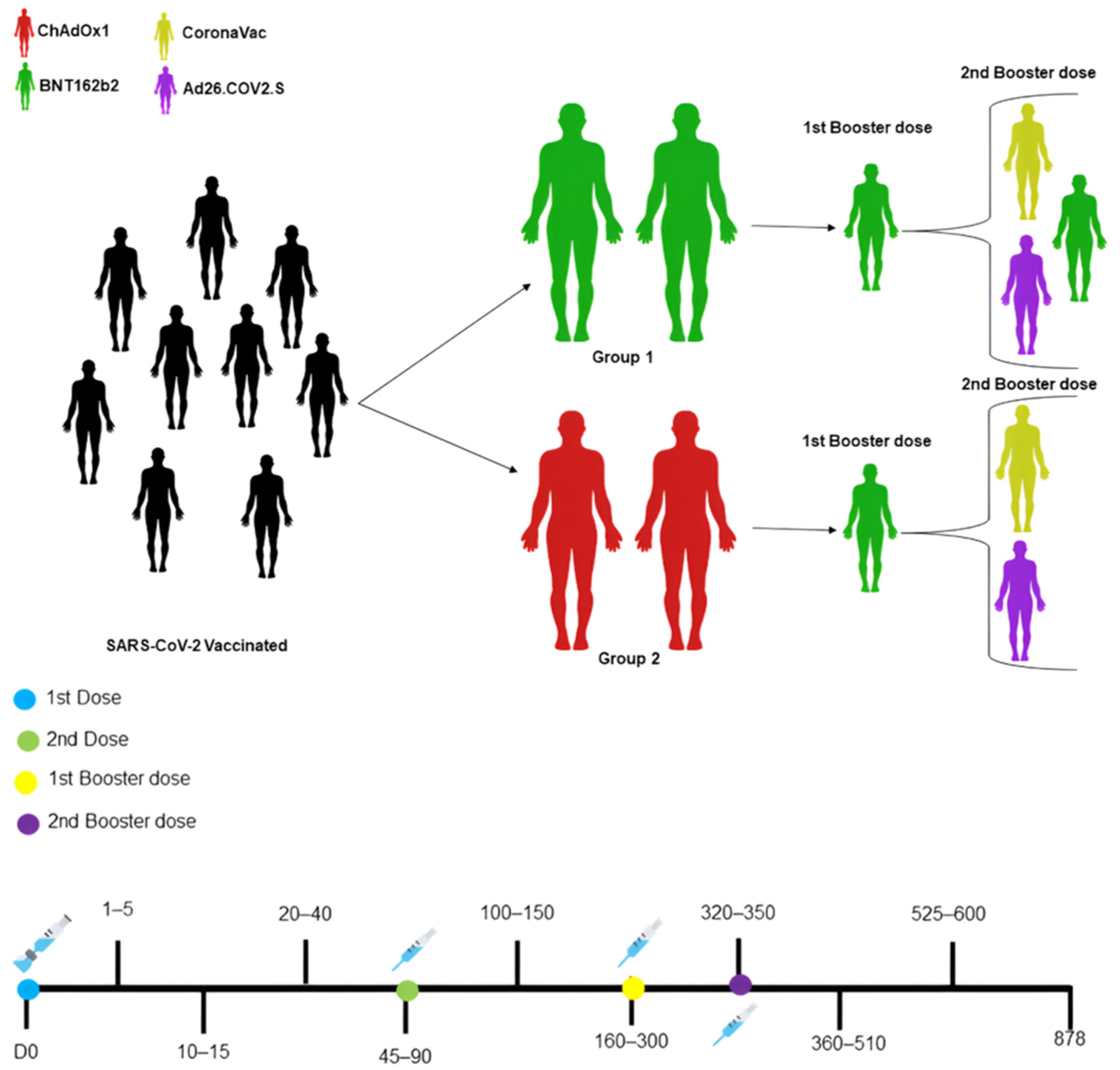 Vaccines 12 00792 g001