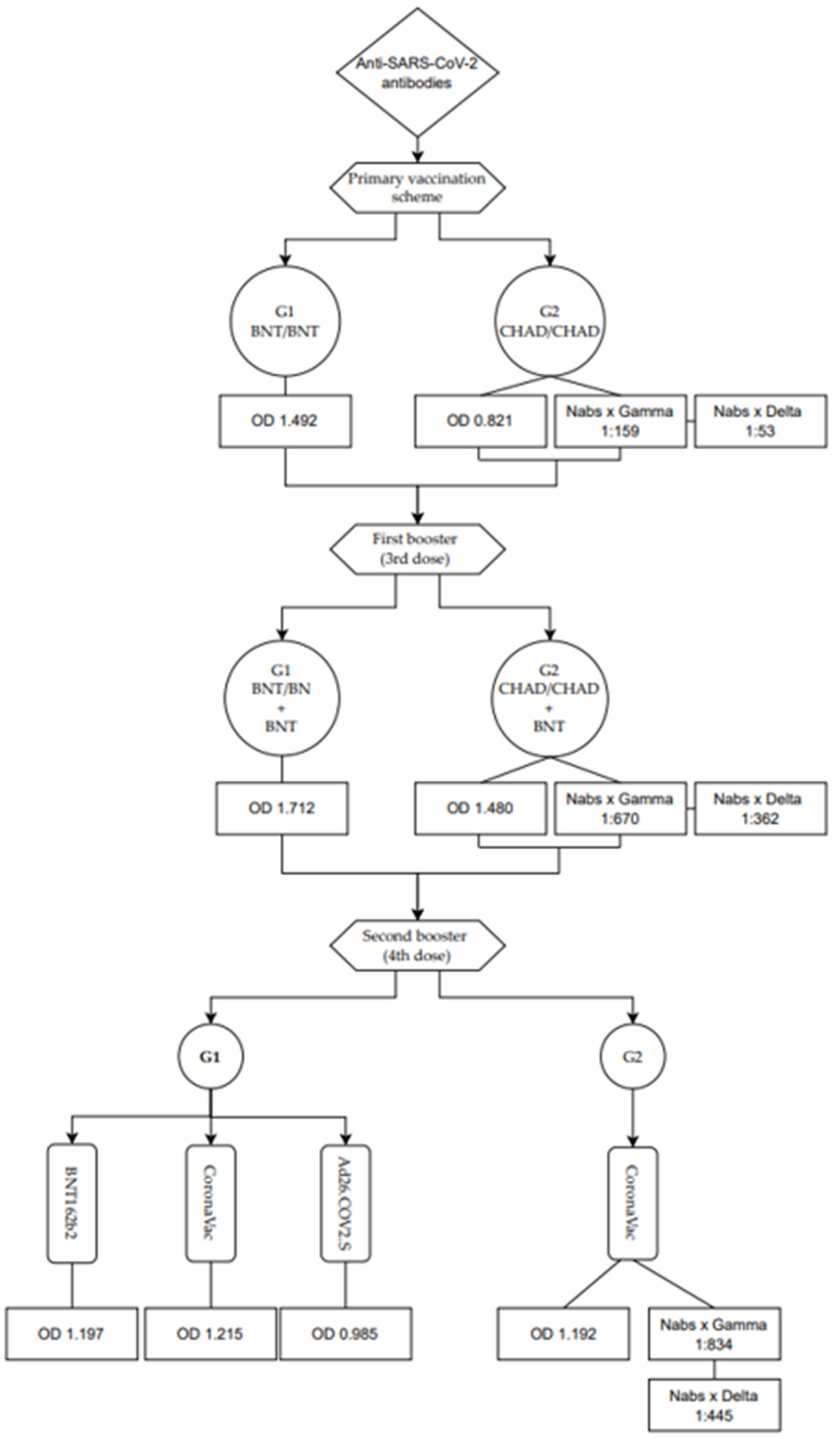 Vaccines 12 00792 g005