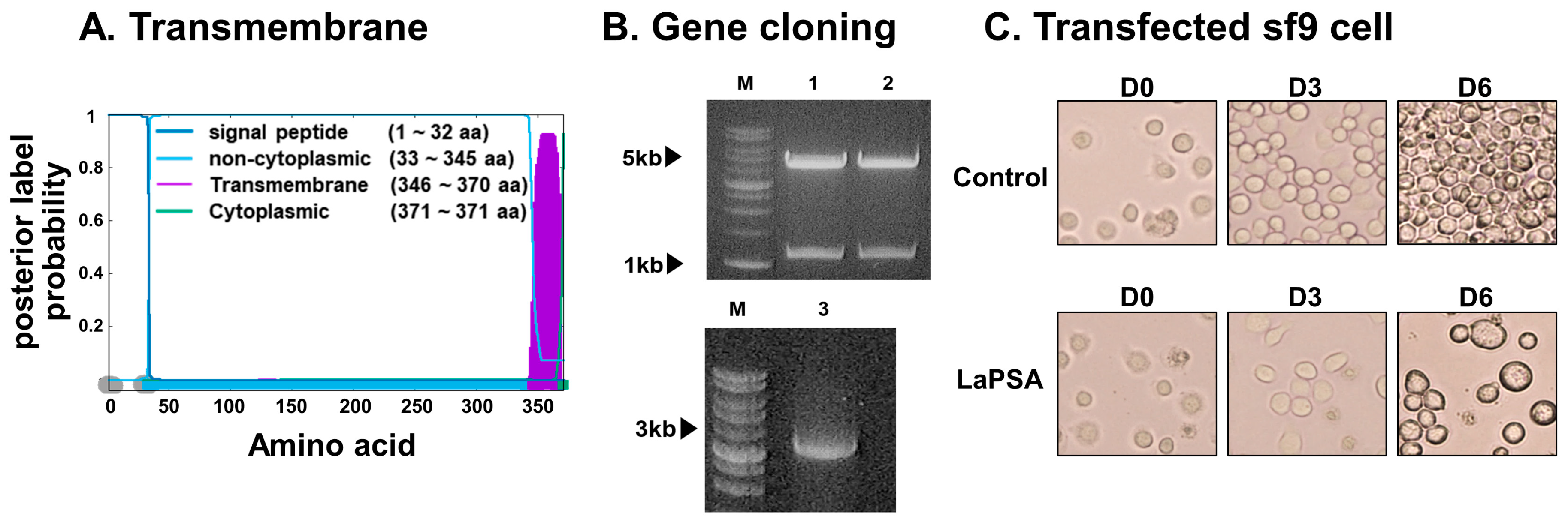 Vaccines 12 00793 g001