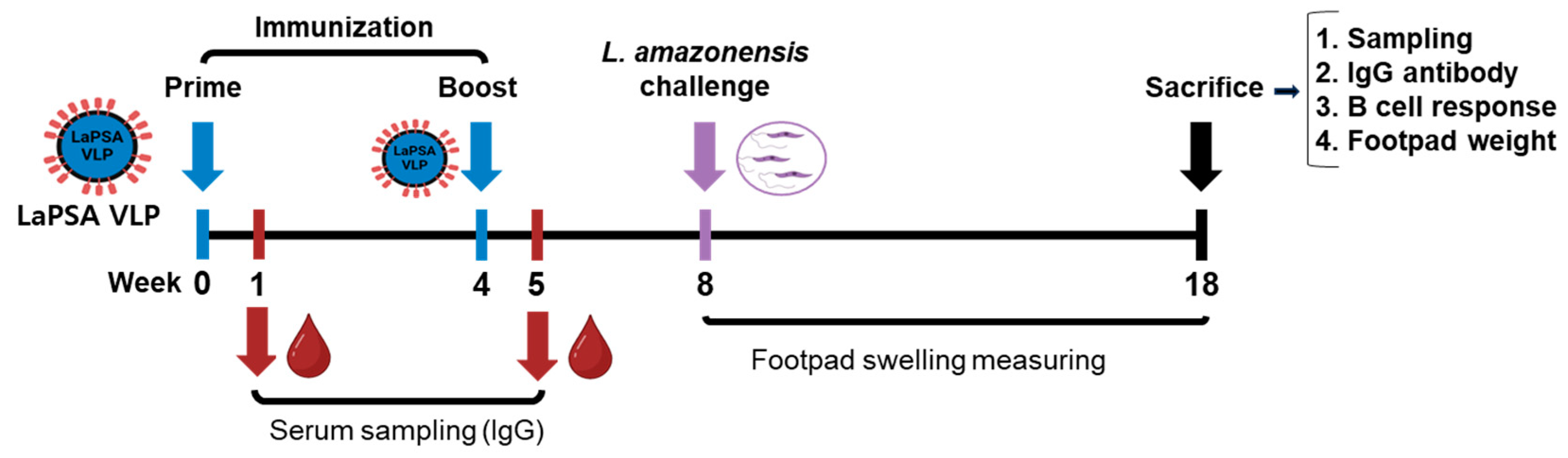 Vaccines 12 00793 g003