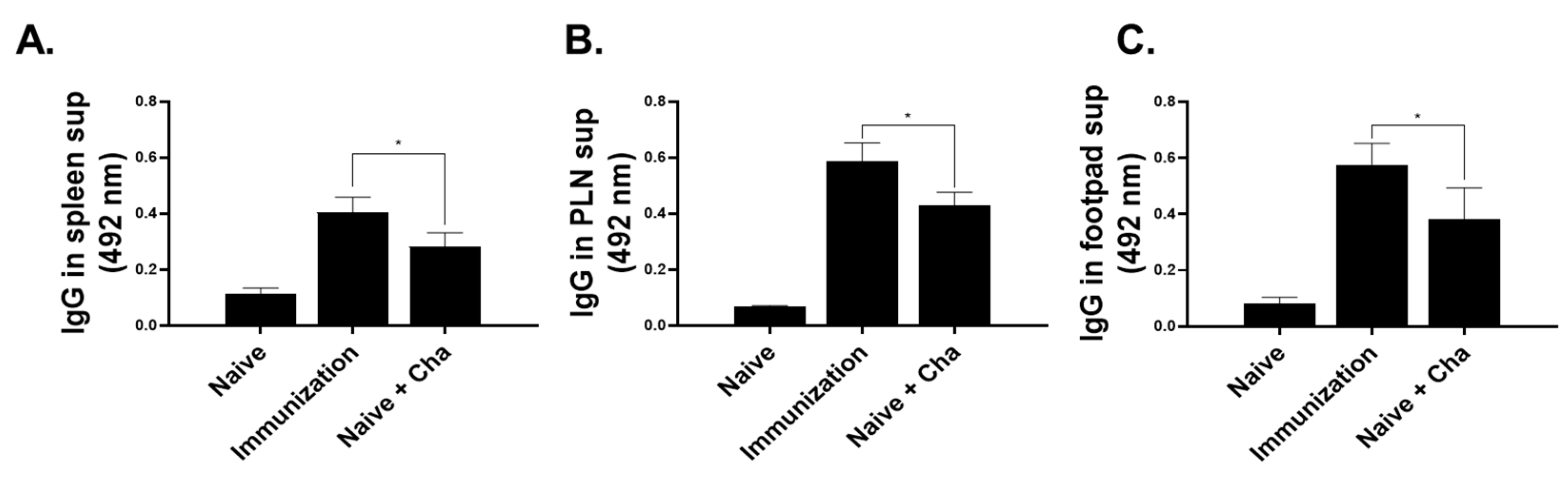 Vaccines 12 00793 g005