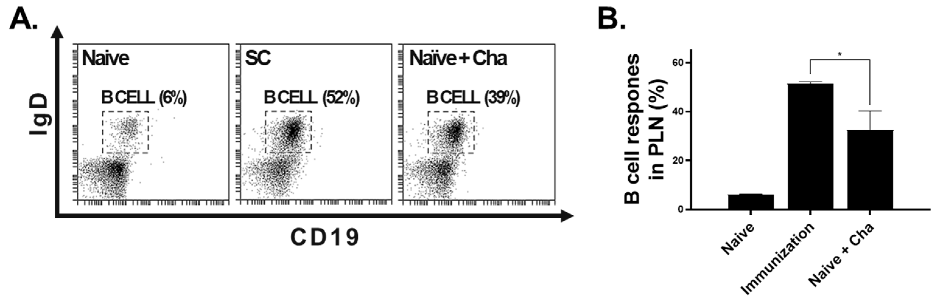 Vaccines 12 00793 g006