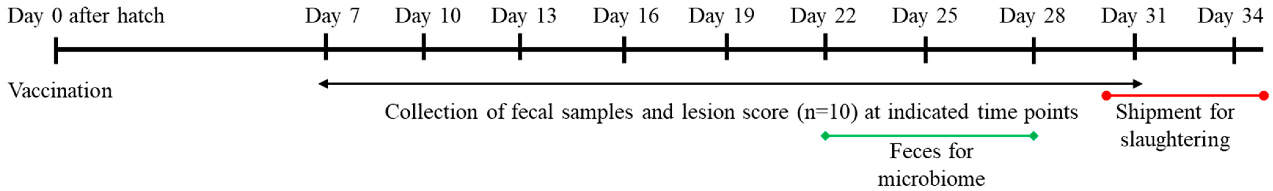 Vaccines 12 00800 g001