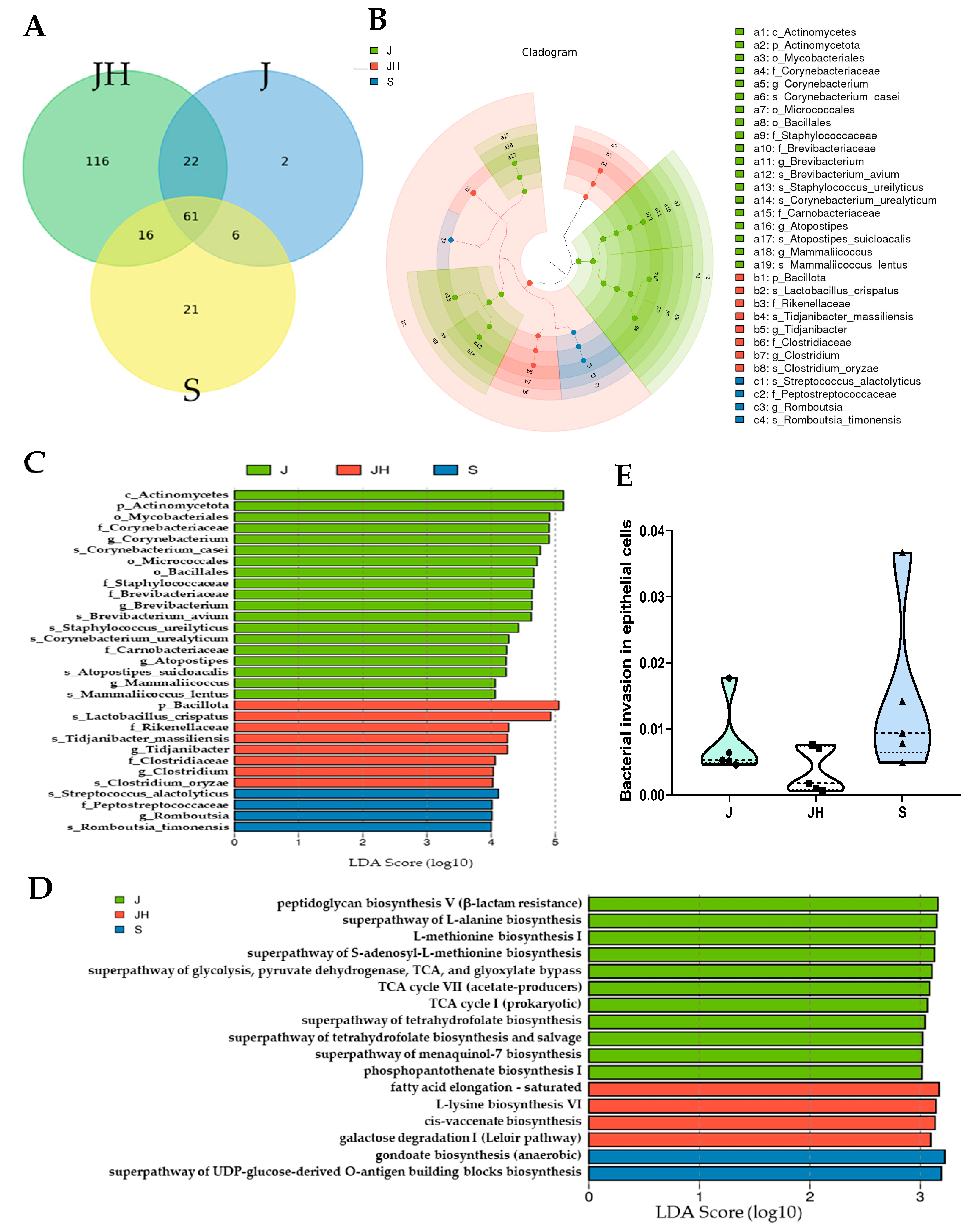 Vaccines 12 00800 g005