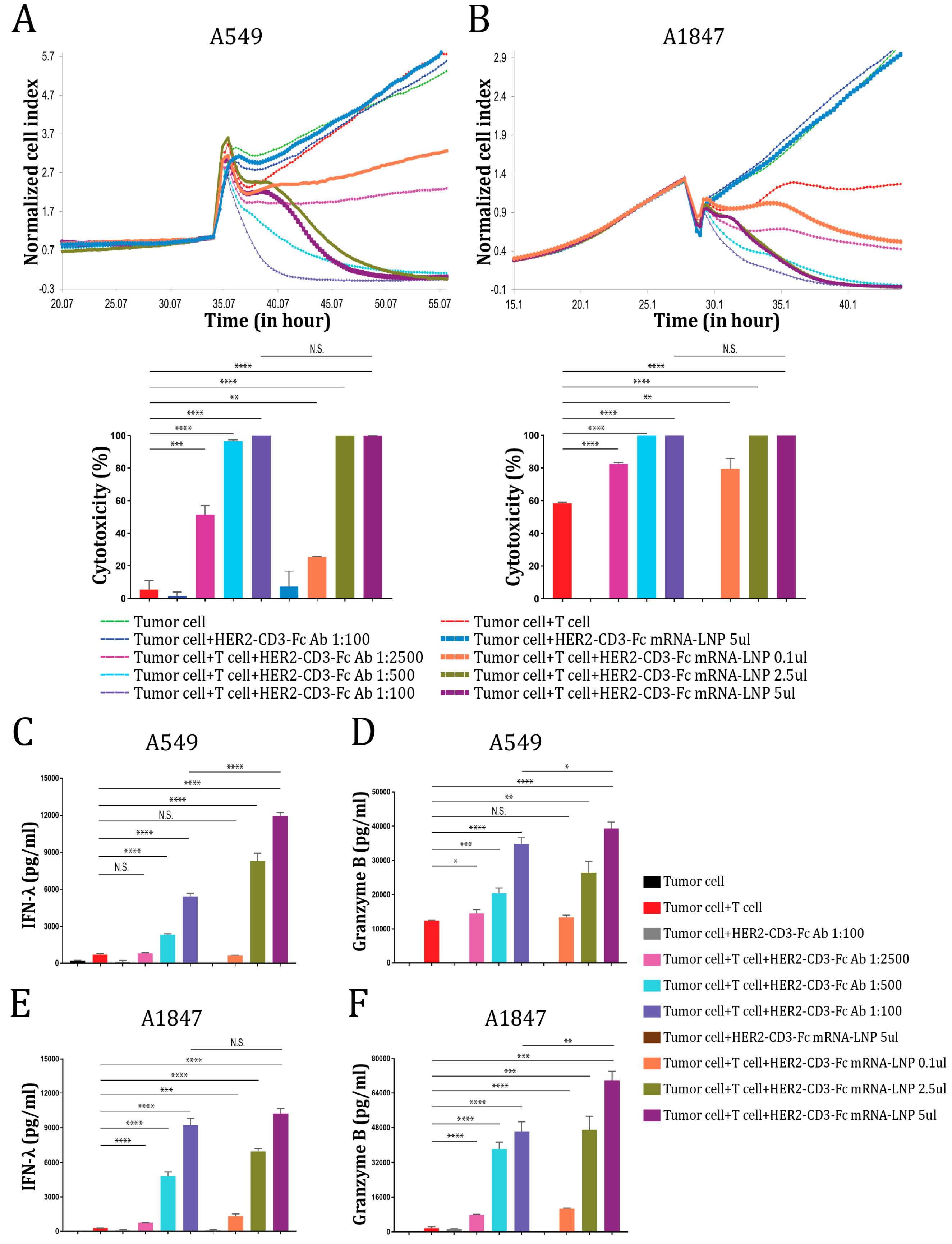 Vaccines 12 00808 g004