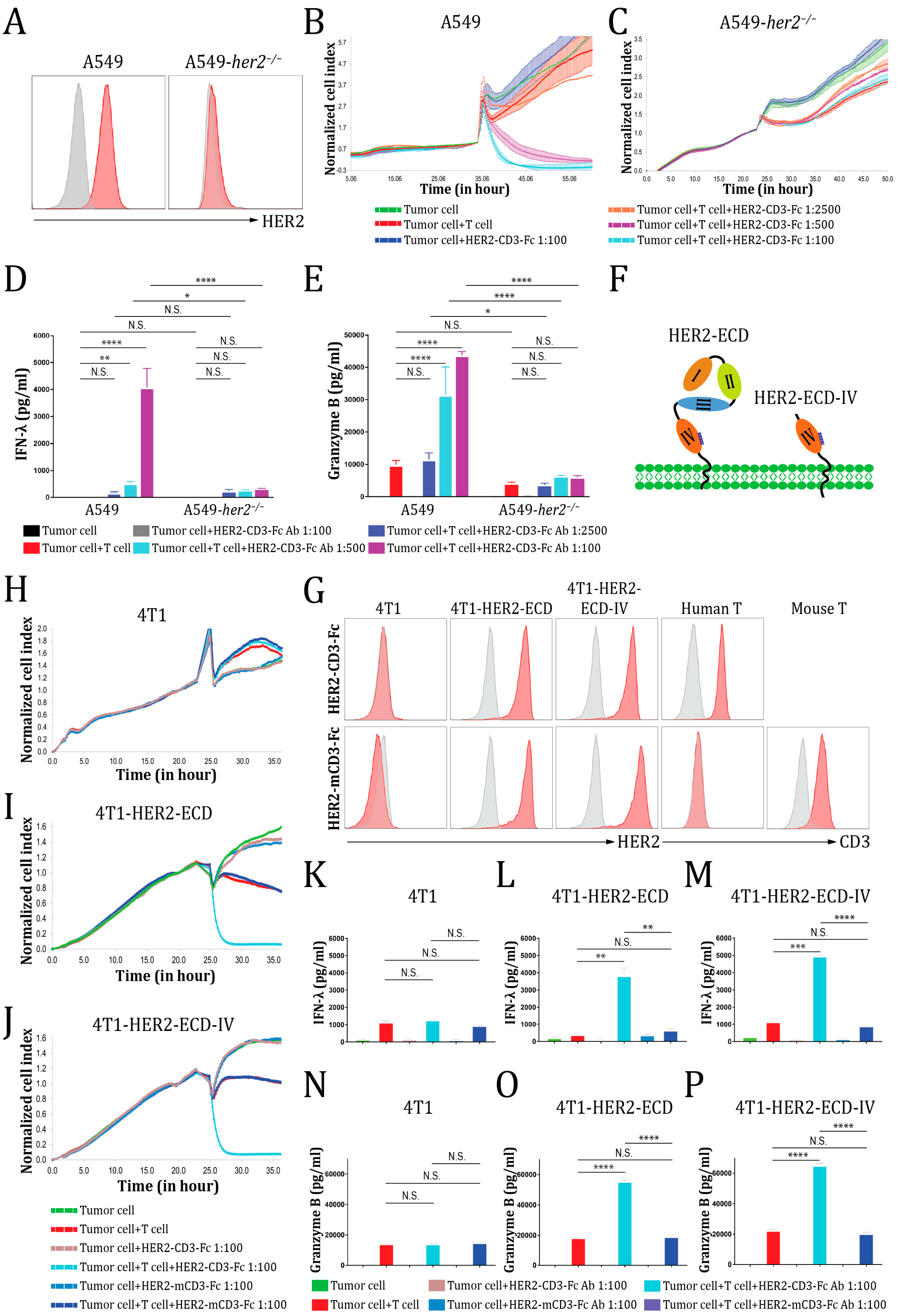 Vaccines 12 00808 g005