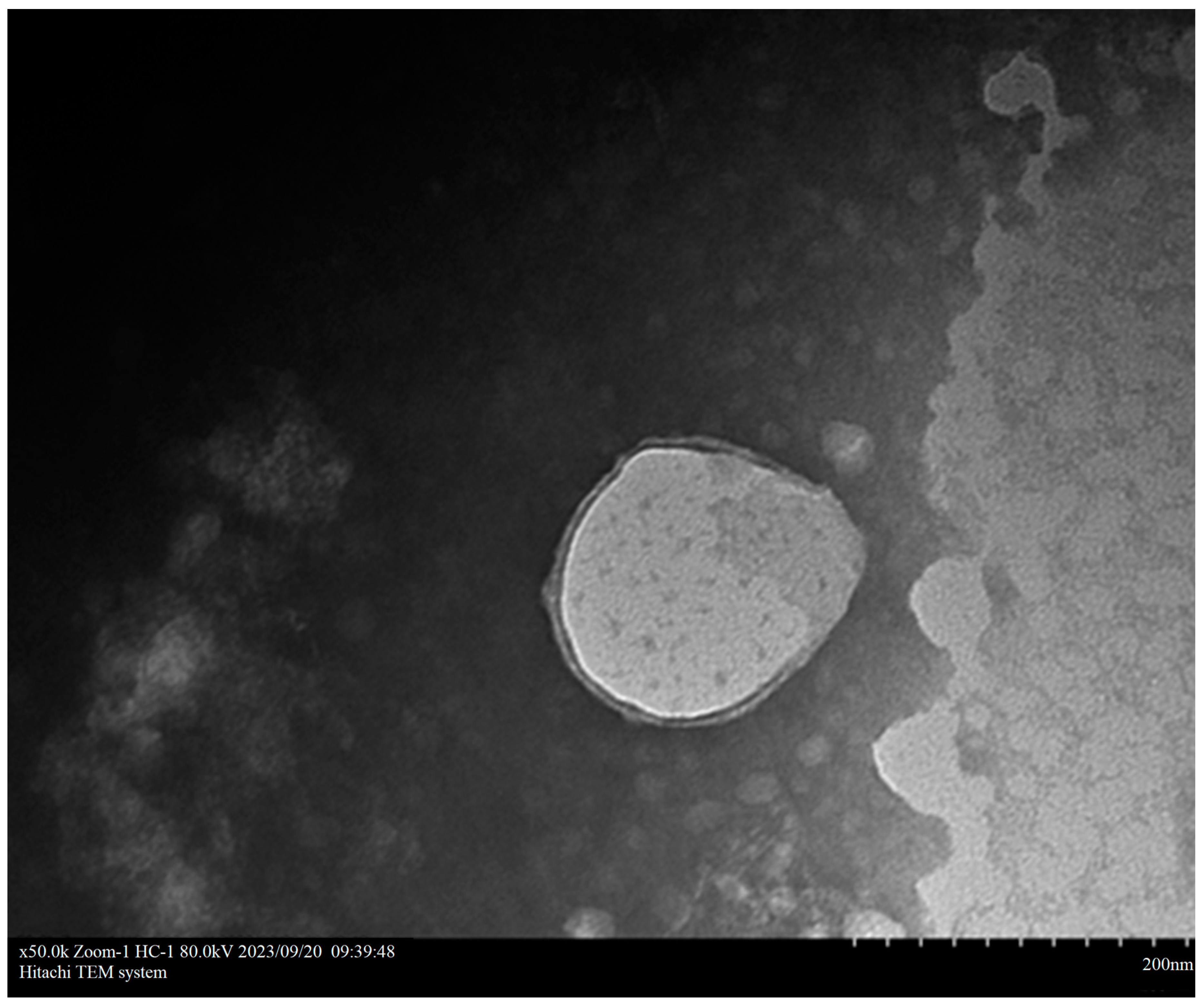 Vaccines 12 00834 g003