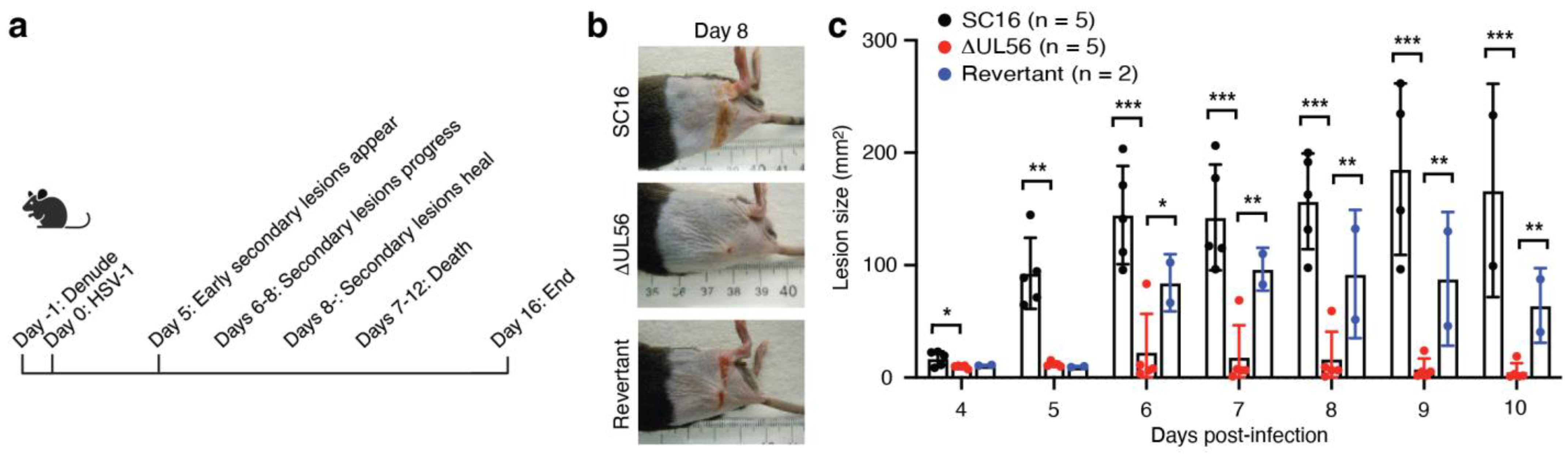 Vaccines 12 00837 g002