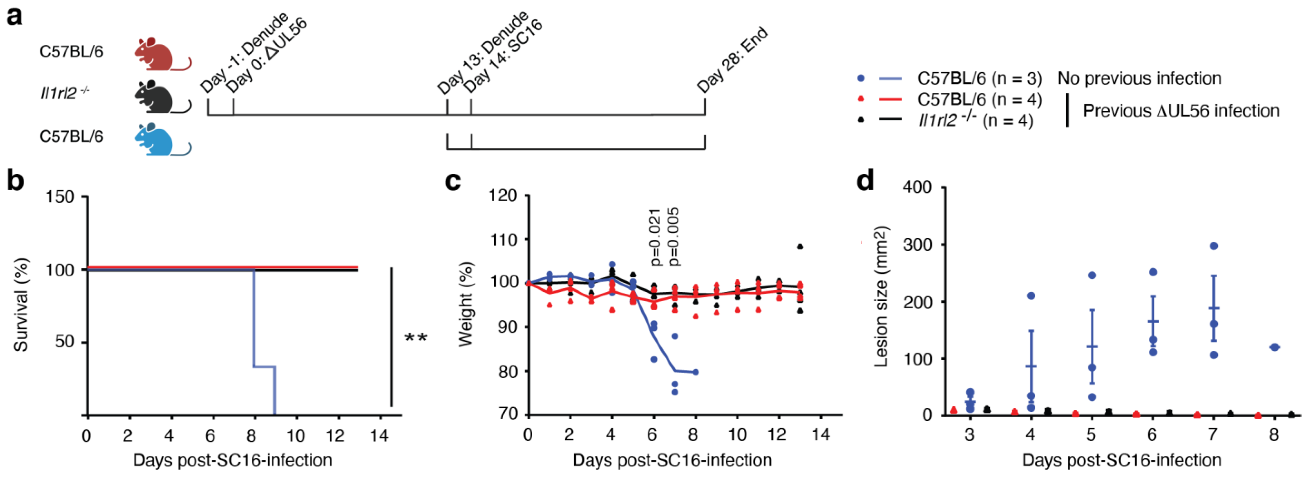 Vaccines 12 00837 g003