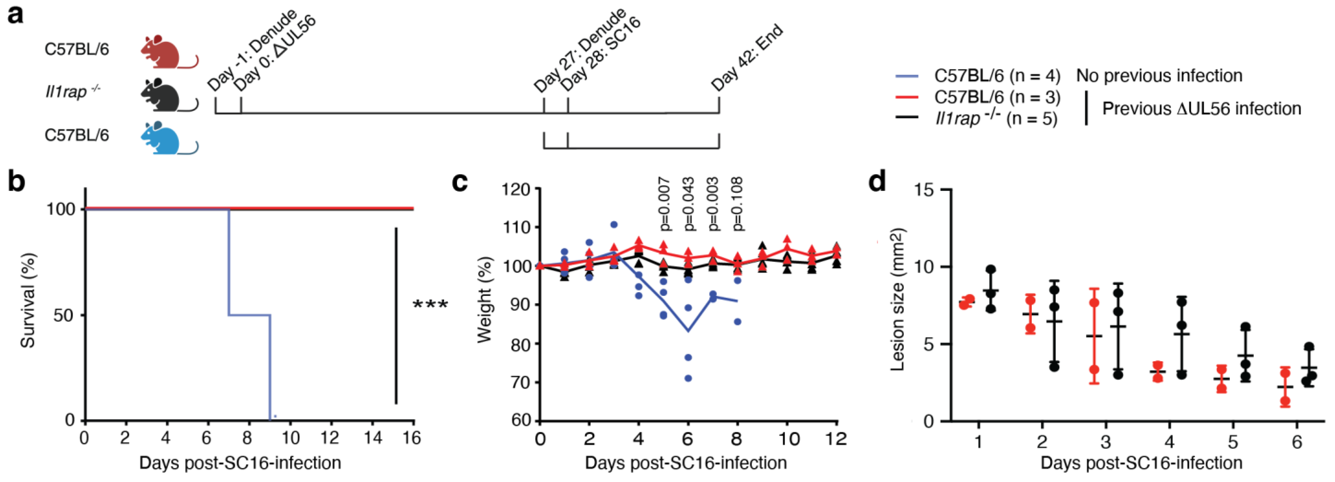 Vaccines 12 00837 g004