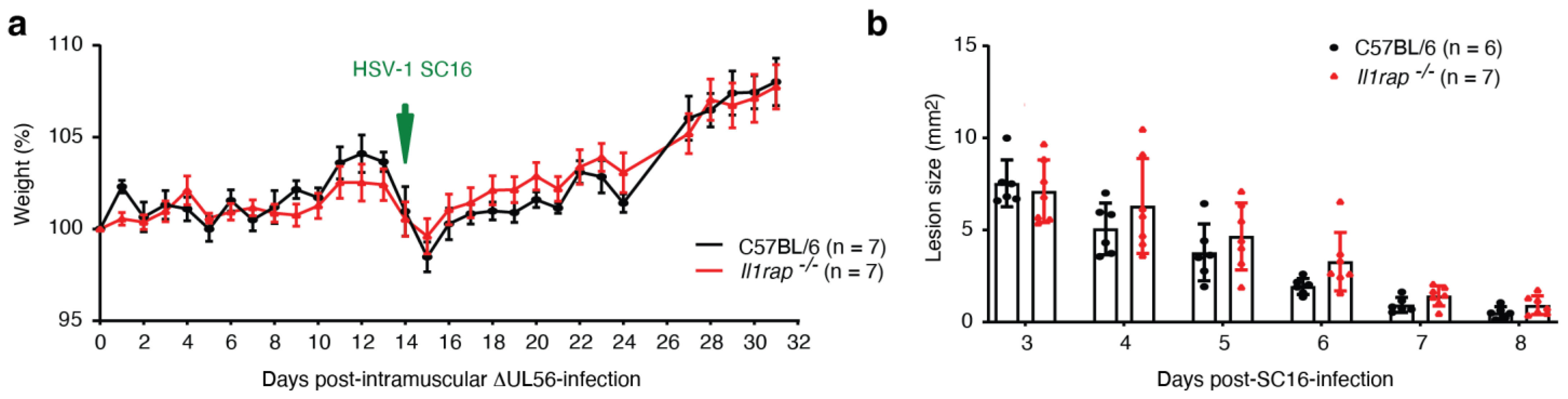 Vaccines 12 00837 g005