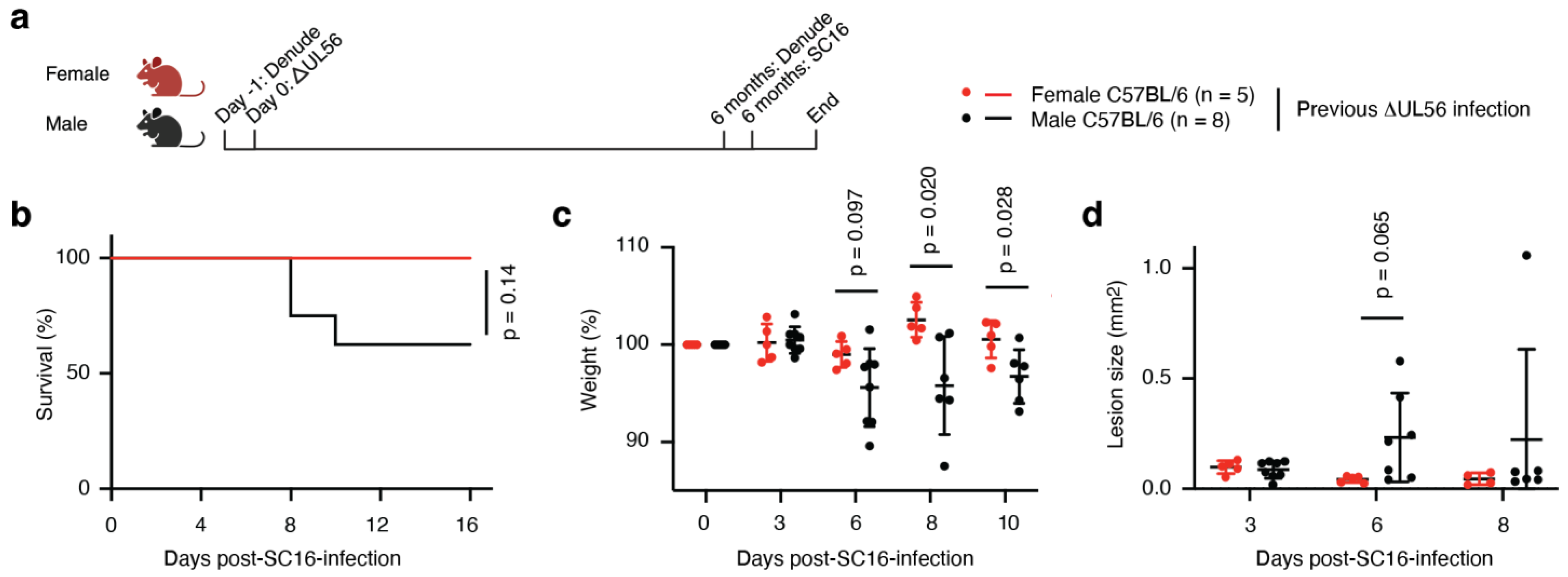 Vaccines 12 00837 g006