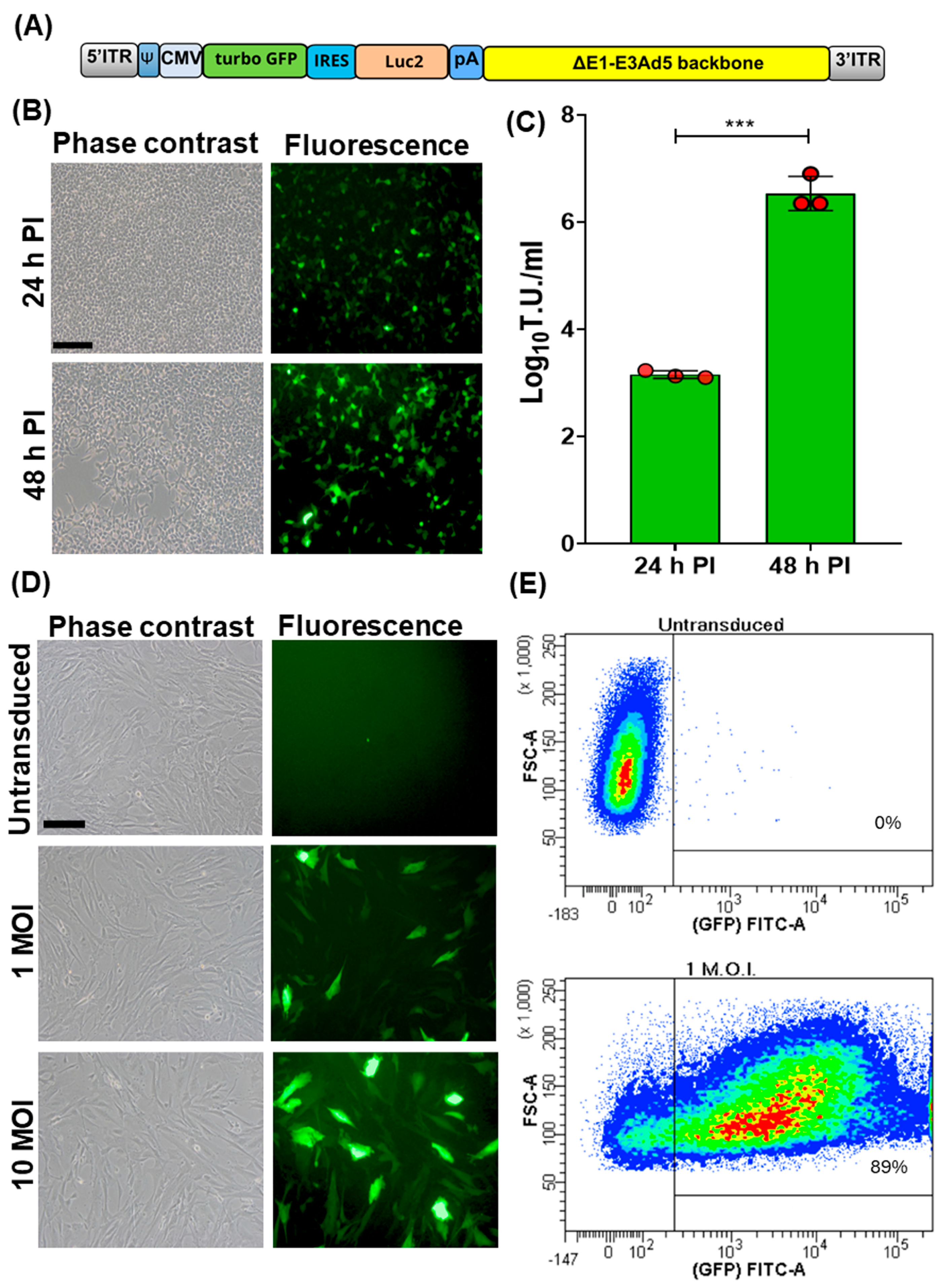 Vaccines 12 00851 g001