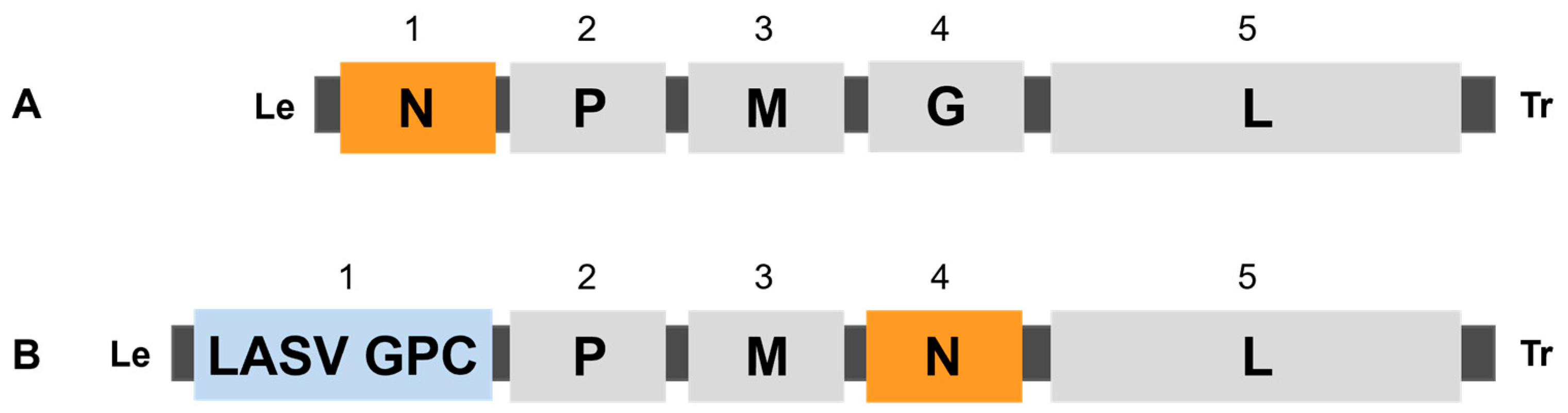 Vaccines 12 00858 g001