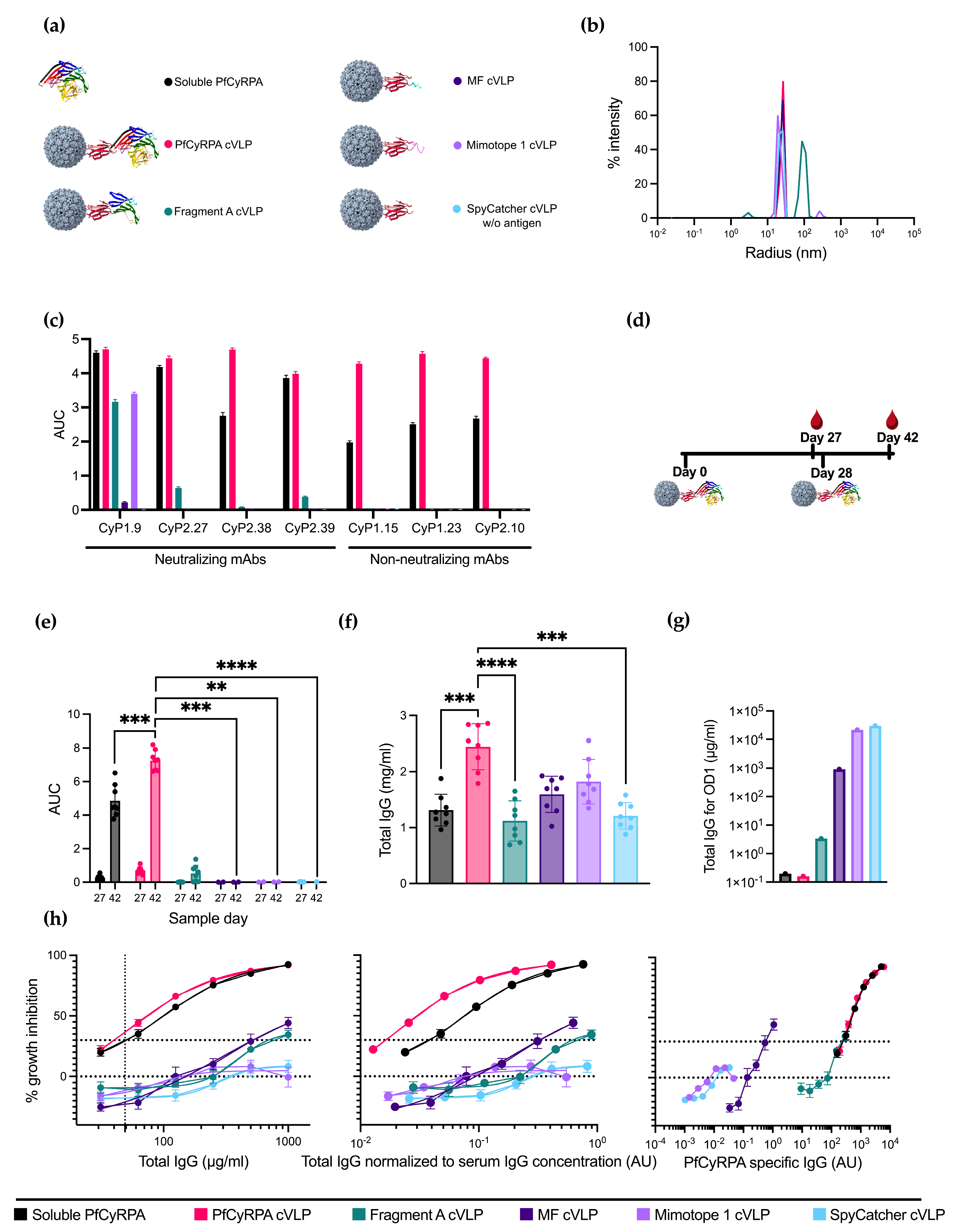 Vaccines 12 00859 g002