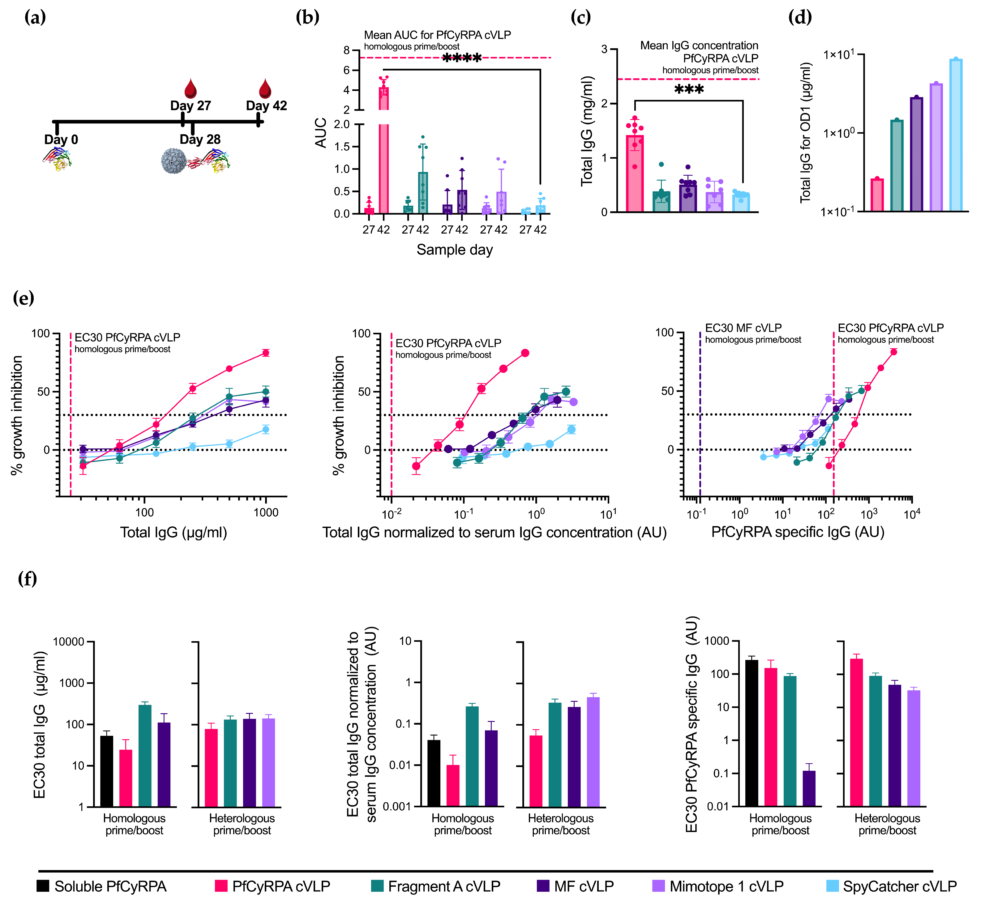 Vaccines 12 00859 g003