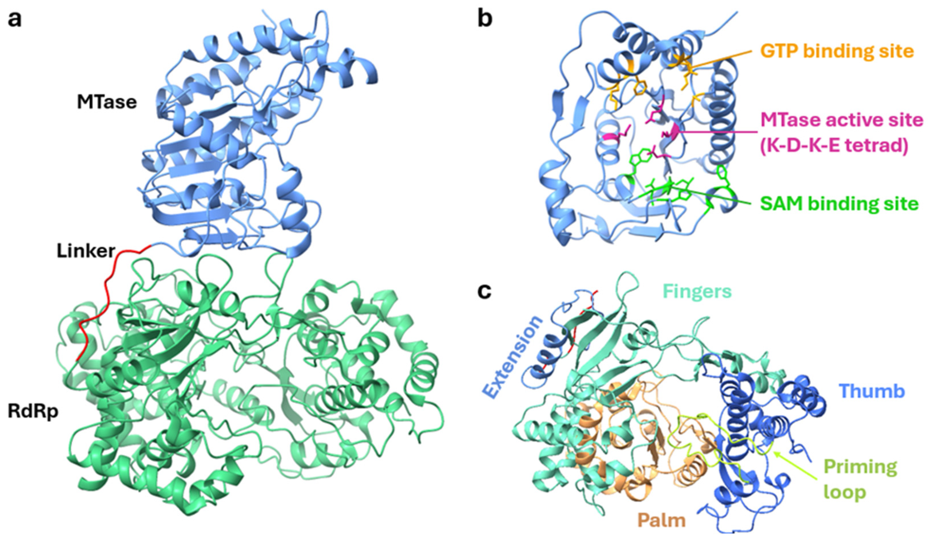 Vaccines 12 00865 g002