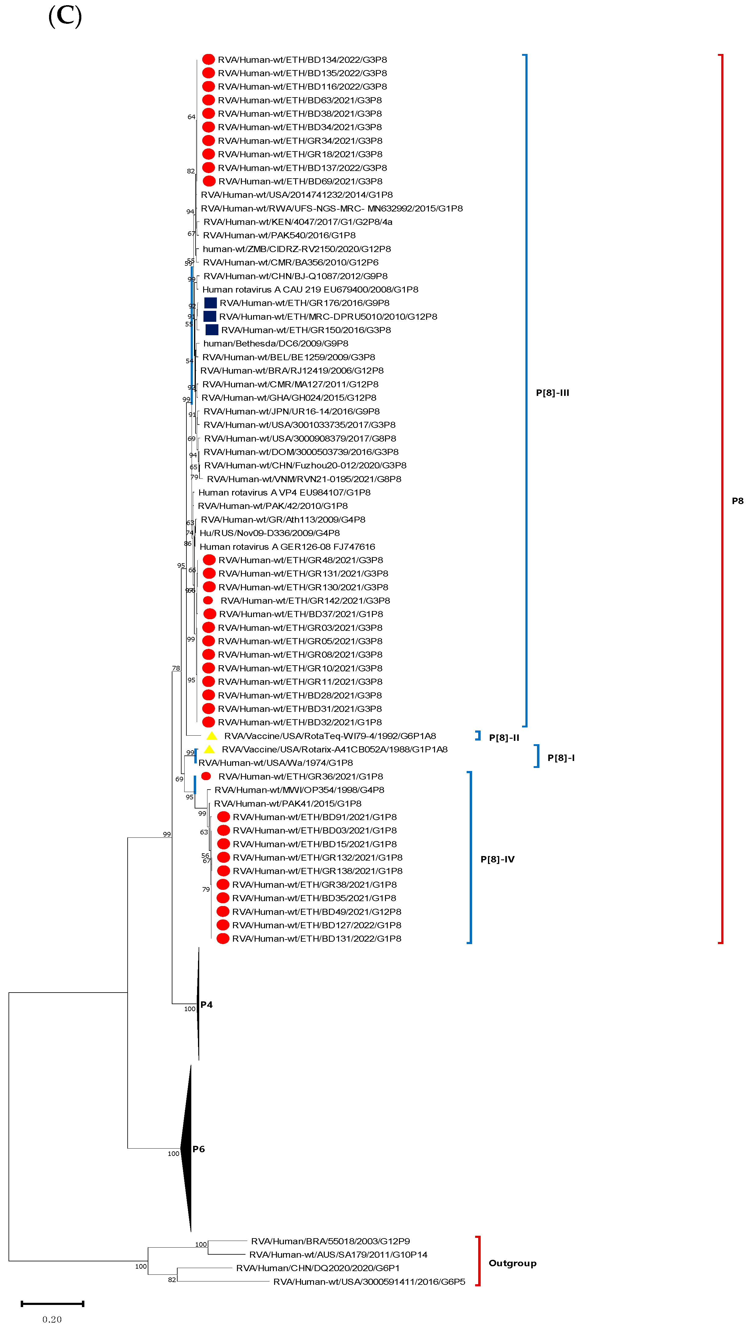 Vaccines 12 00866 g007b