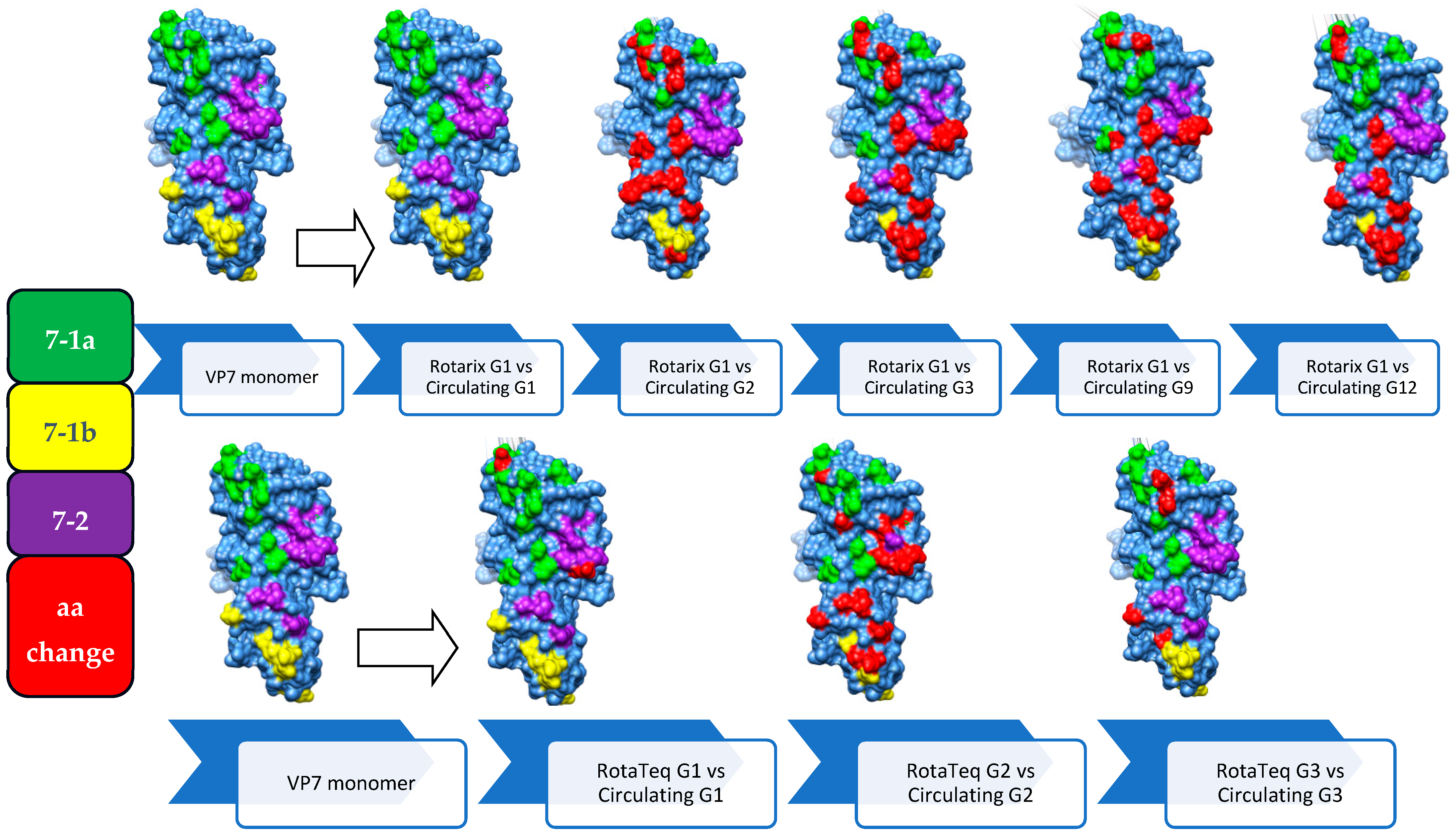 Vaccines 12 00866 g008