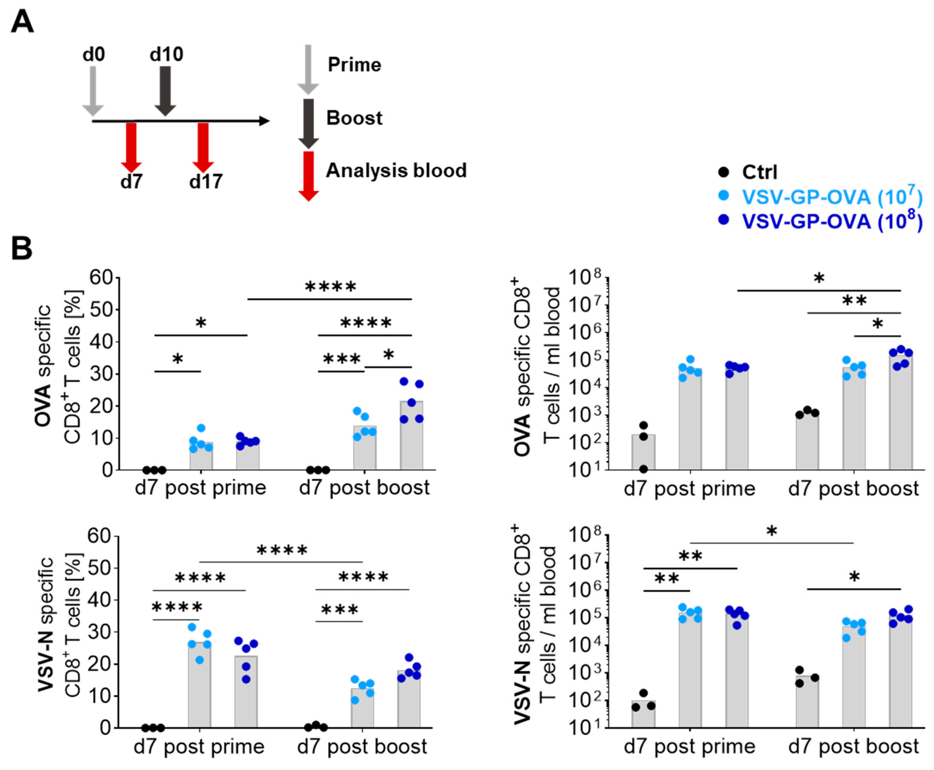 Vaccines 12 00867 g001