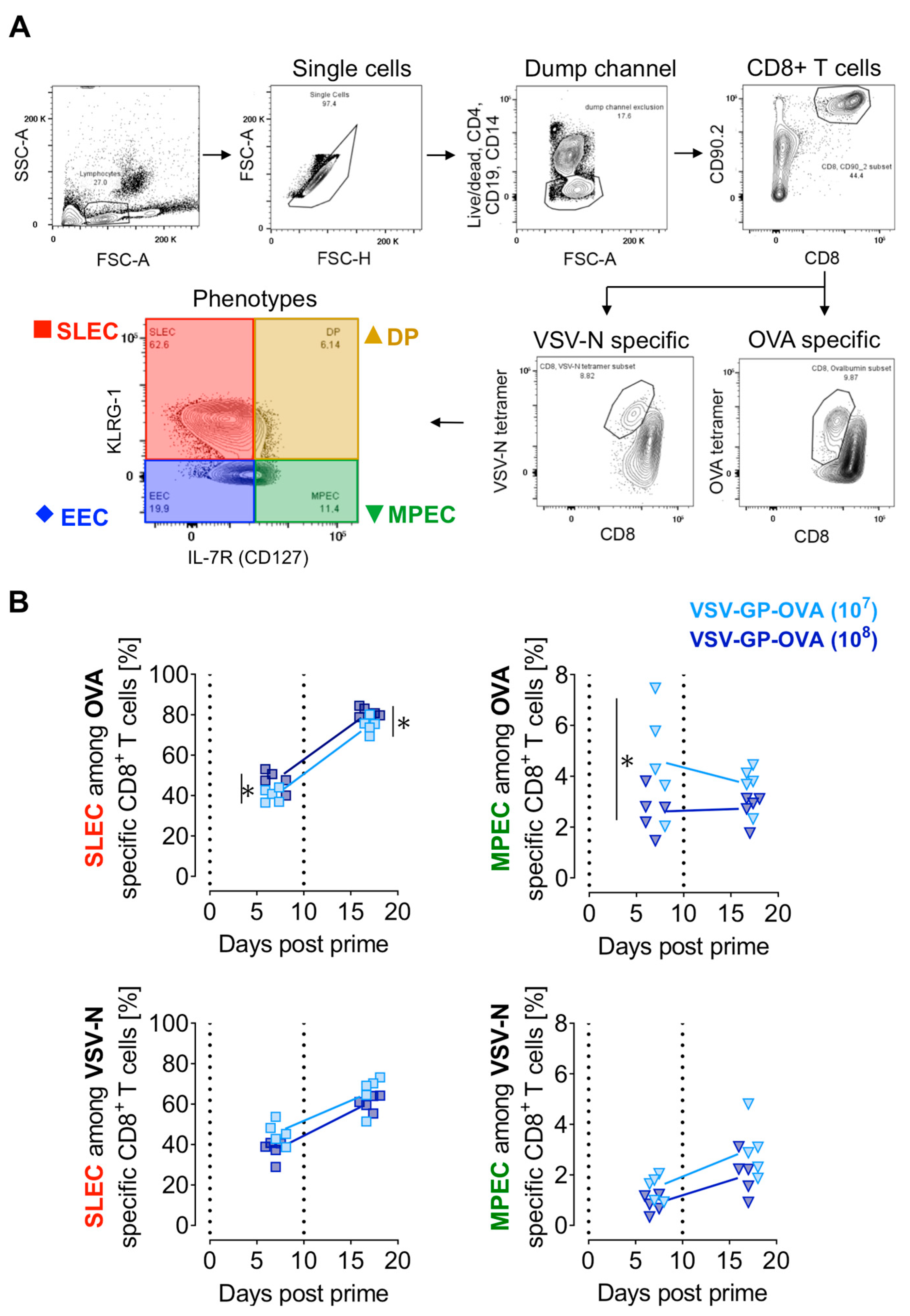 Vaccines 12 00867 g002