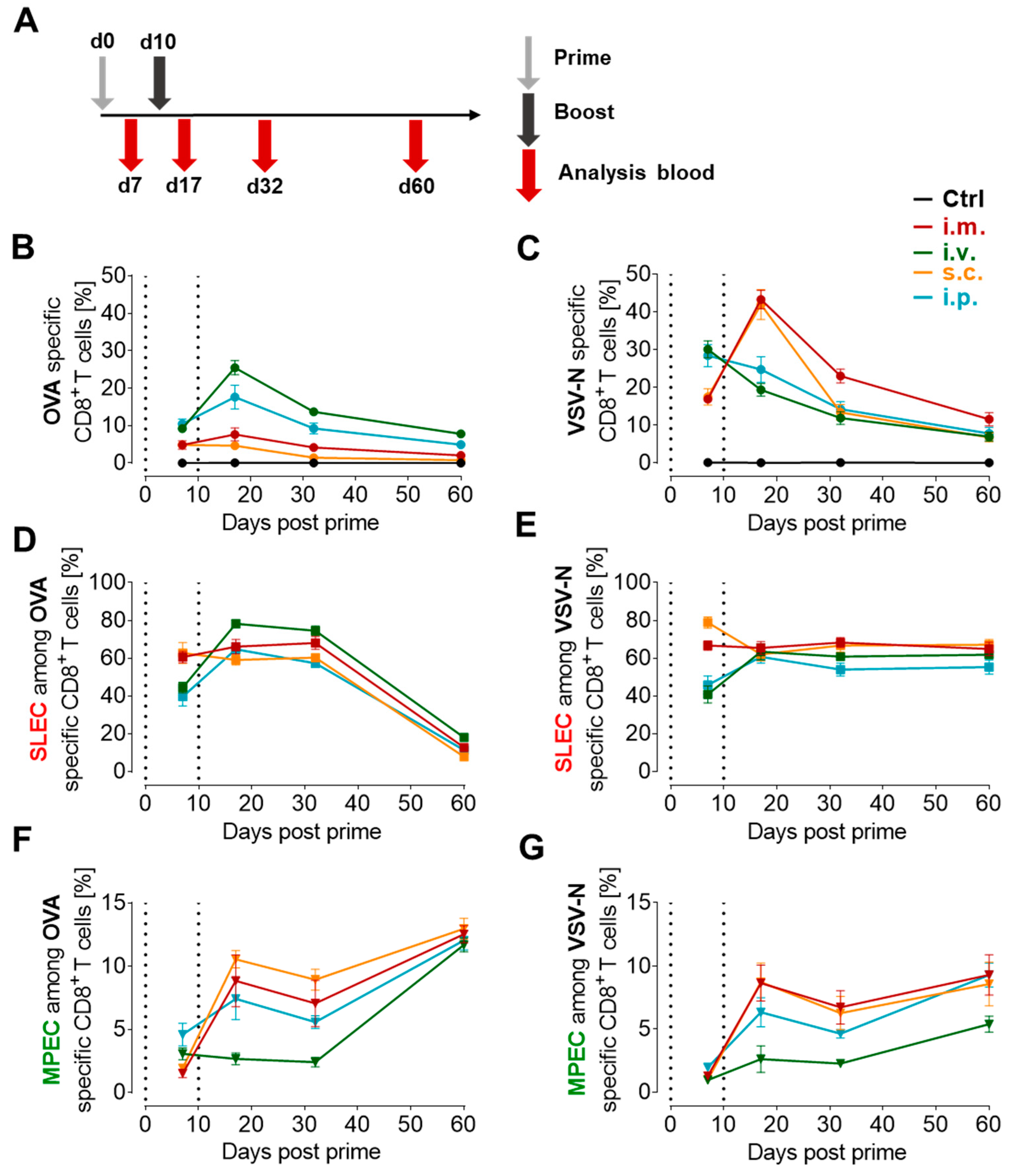 Vaccines 12 00867 g003