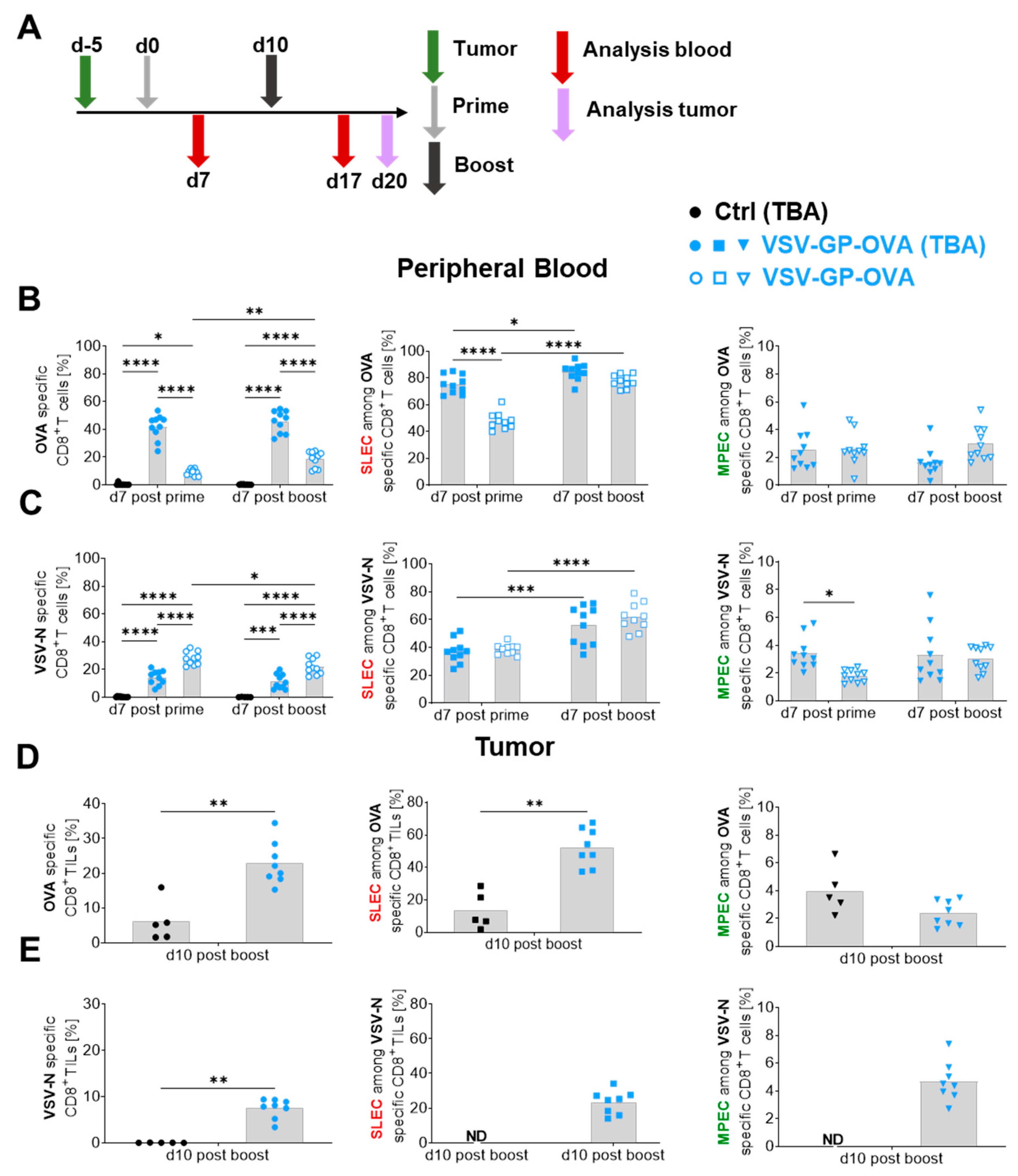 Vaccines 12 00867 g004