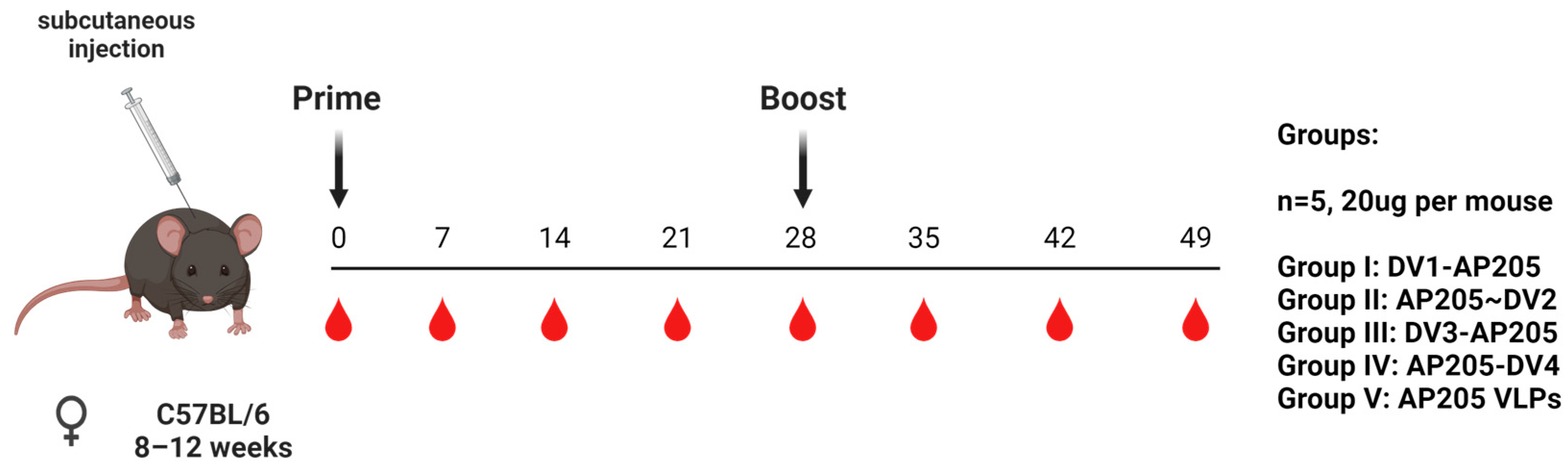 Vaccines 12 00874 g003