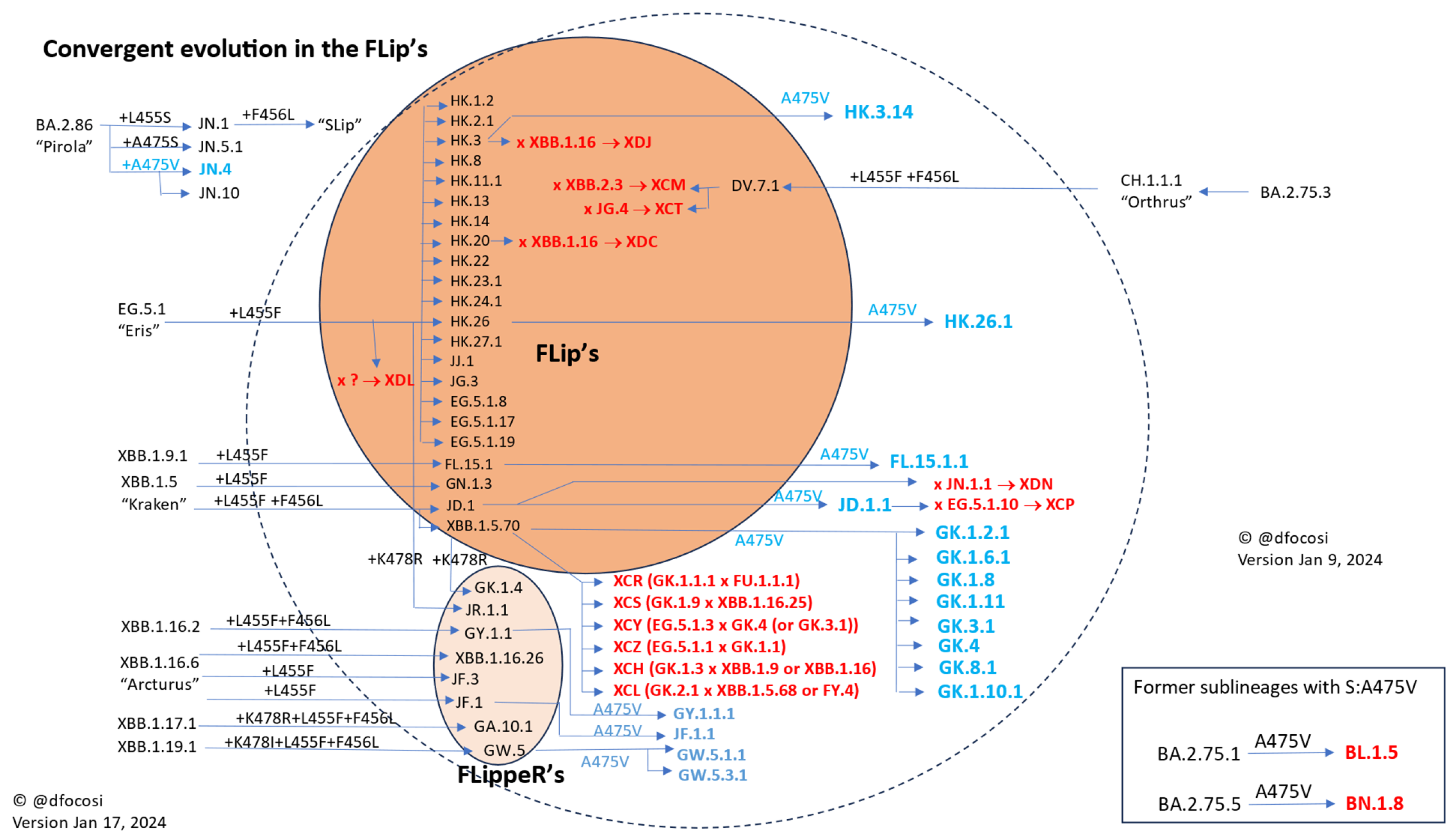 Vaccines 12 00887 g003