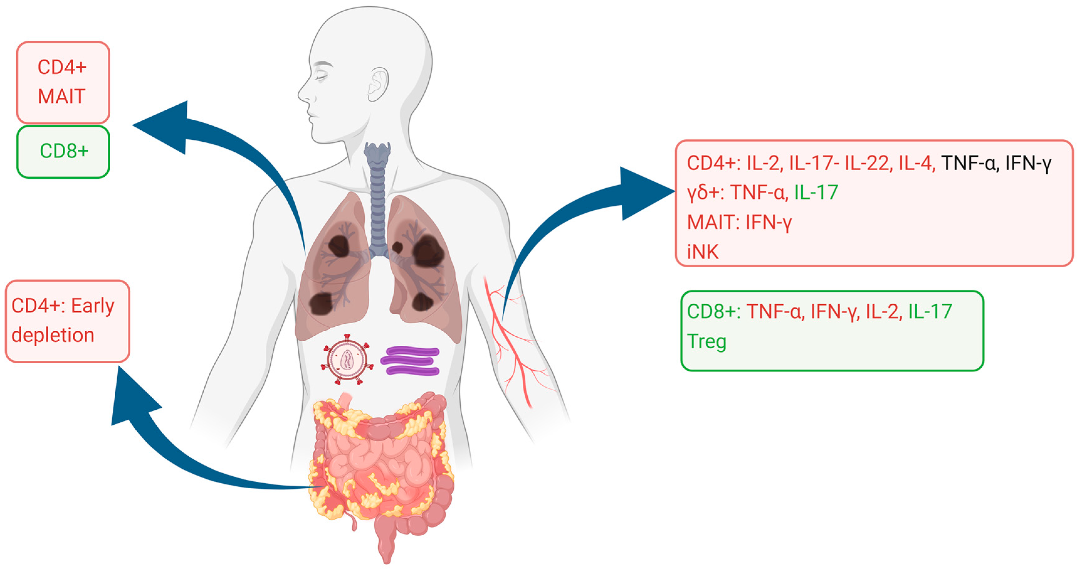 Vaccines 12 00901 g001 Vaccines 12 00901 g001