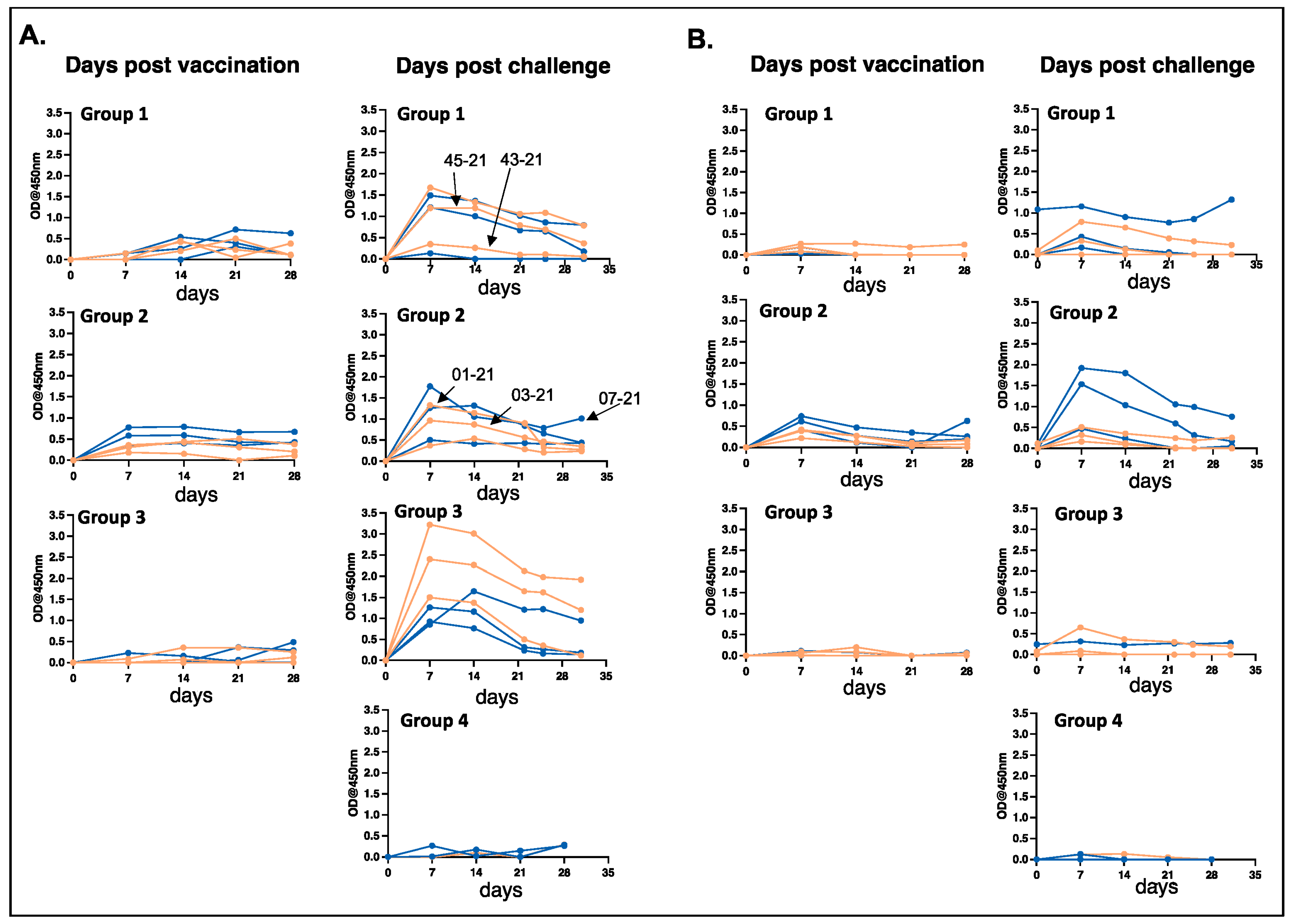 Vaccines 12 00903 g002