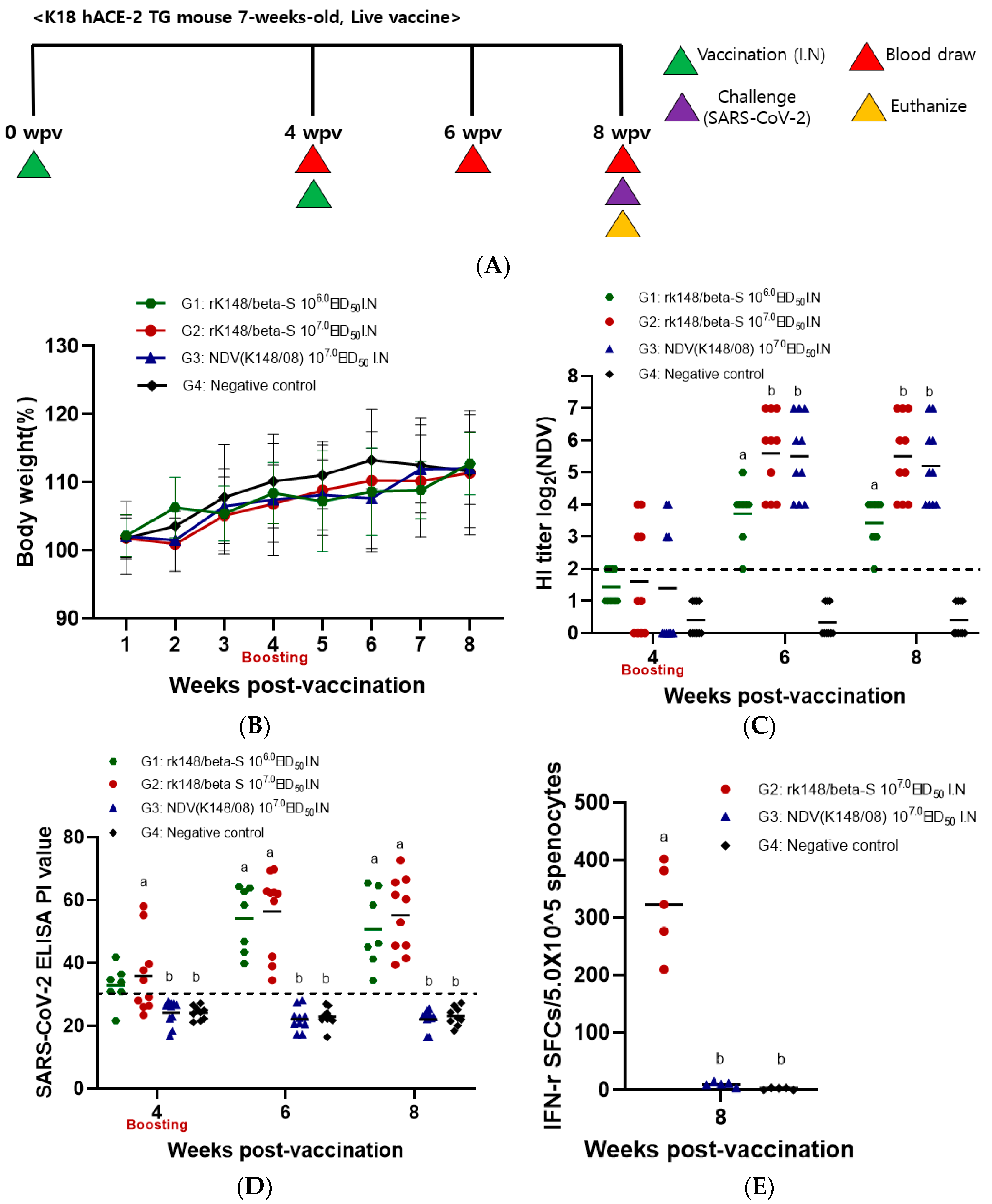 Vaccines 12 00921 g001