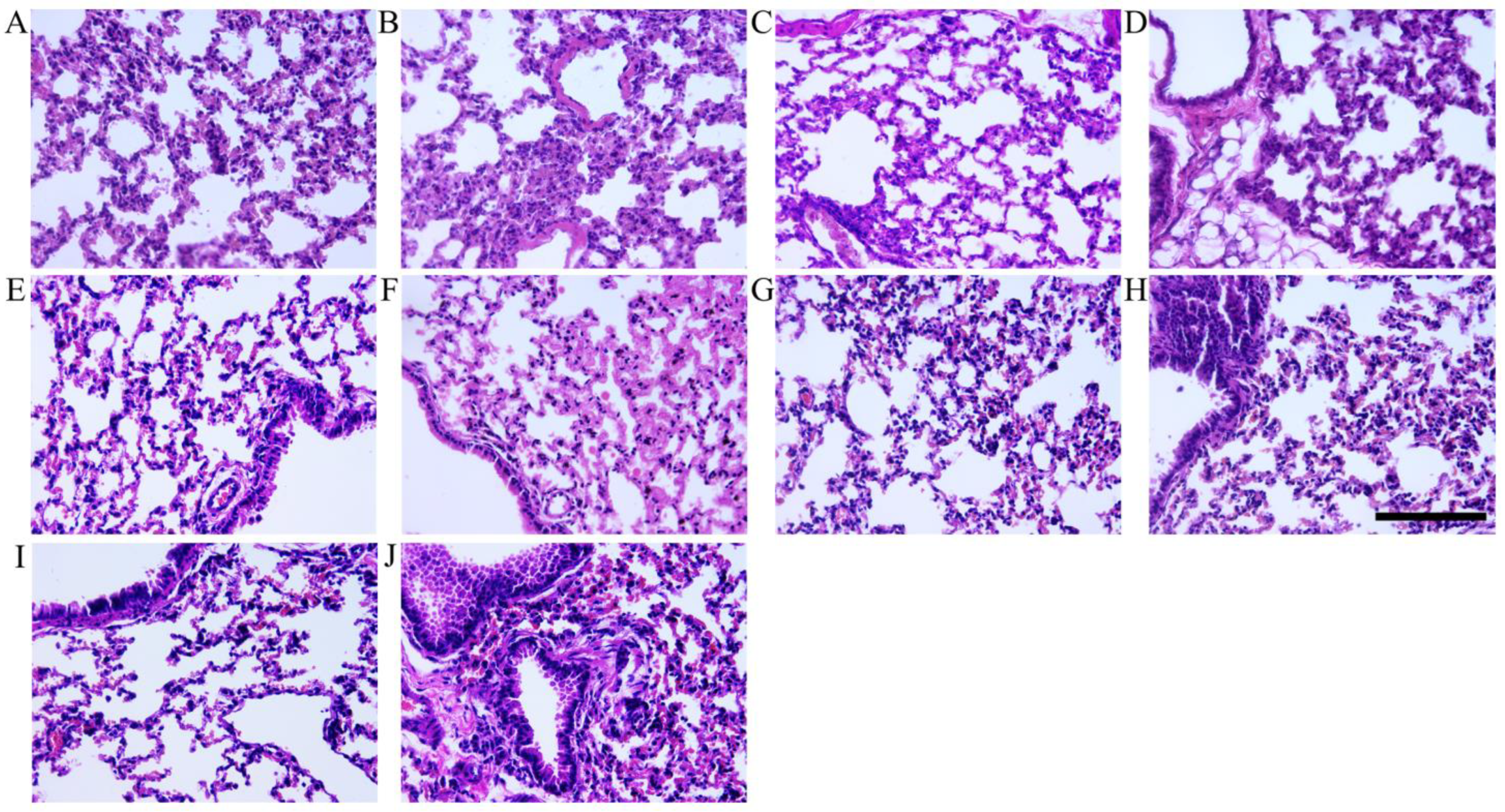 Vaccines 12 00927 g007