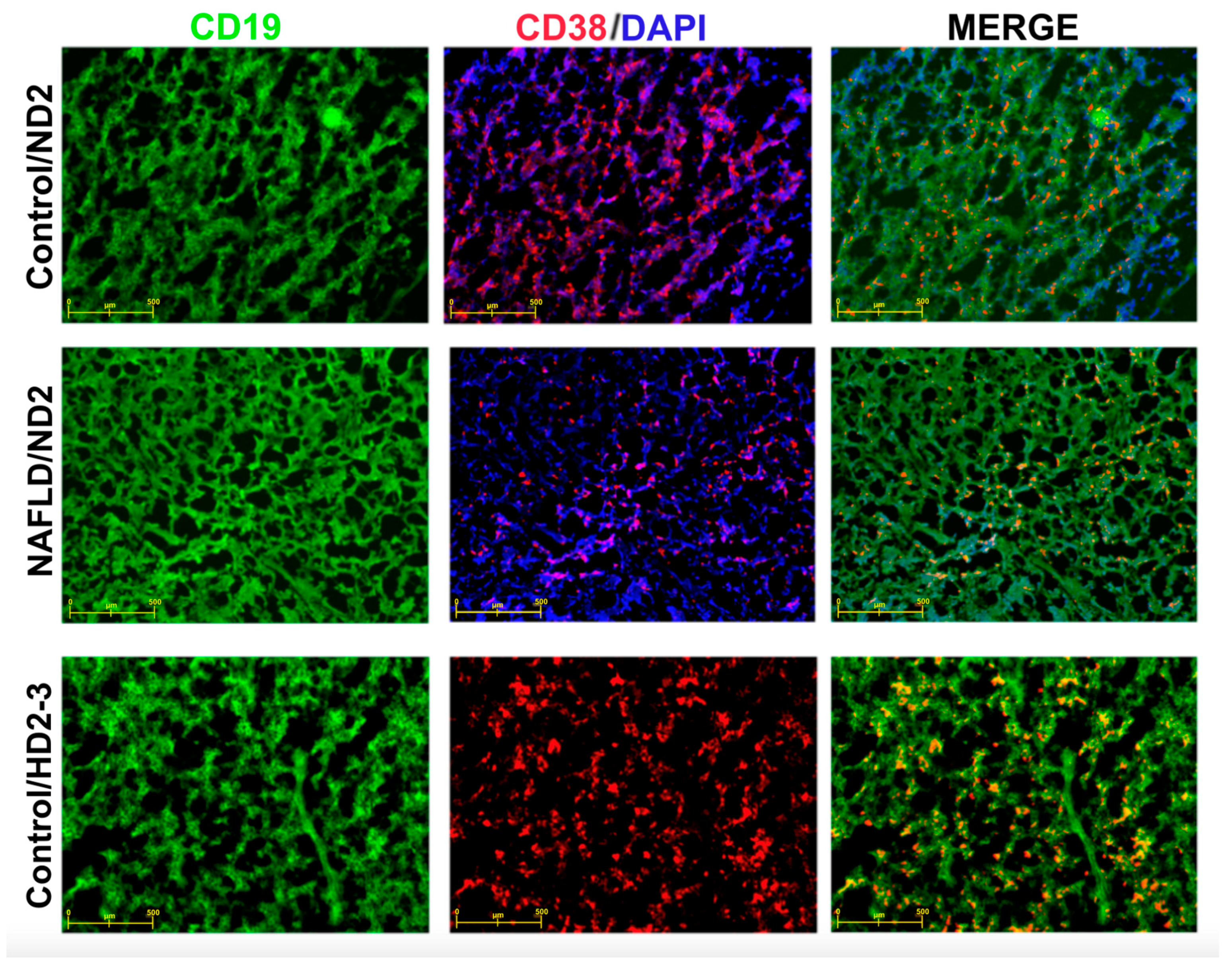 Vaccines 12 00934 g005