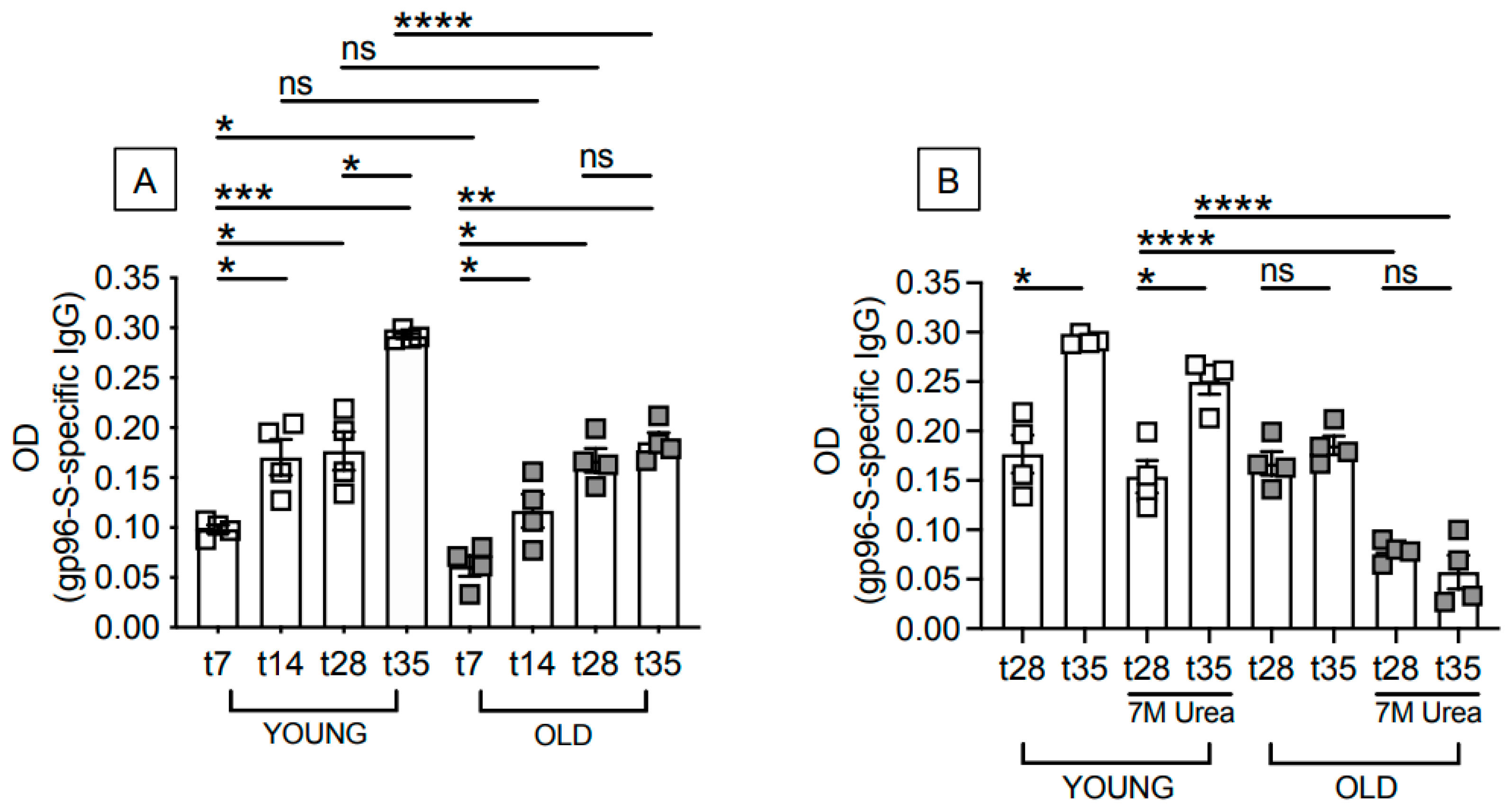 Vaccines 12 00960 g001 Vaccines 12 00960 g001